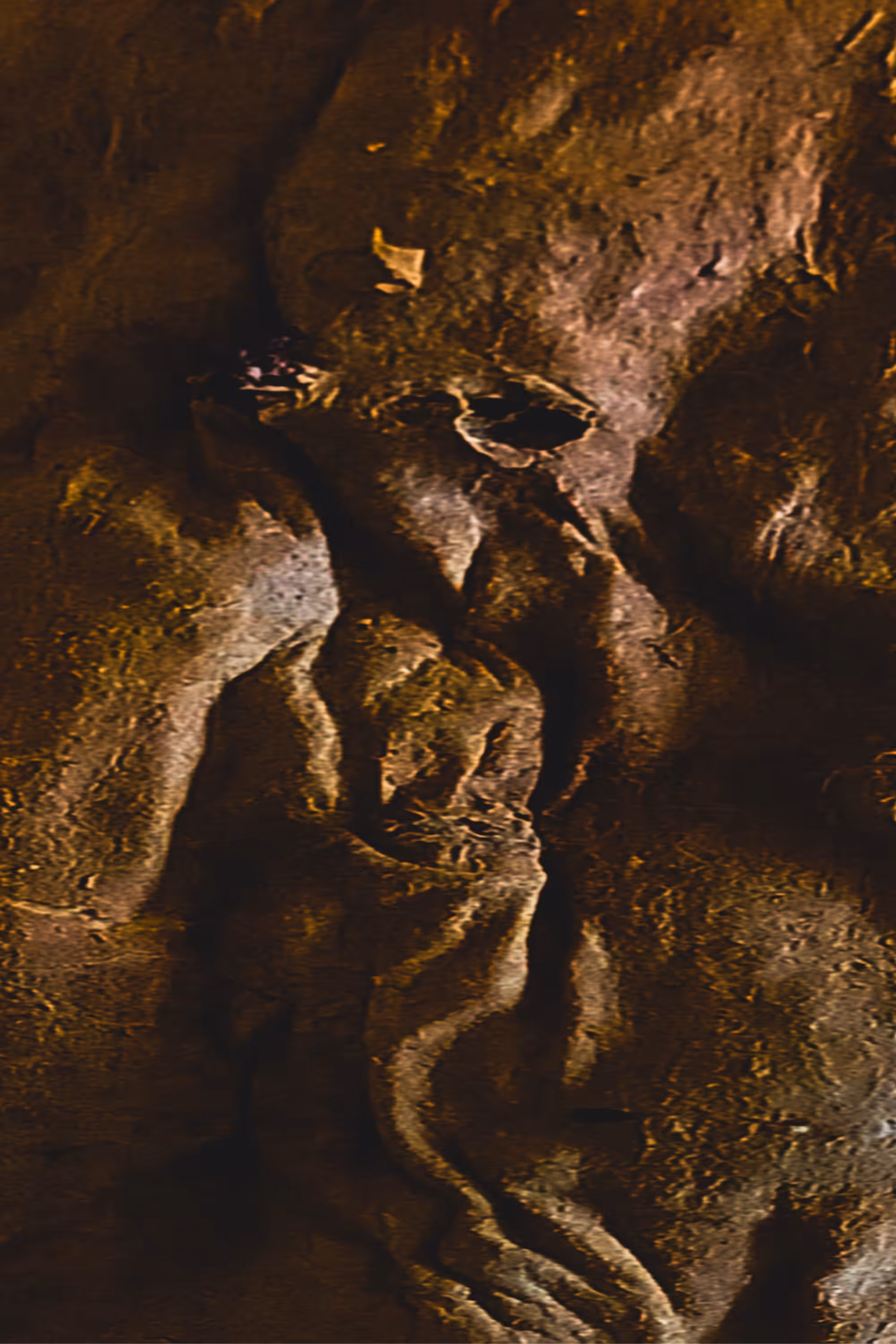 Photography: NFT mummy or all still come to life?