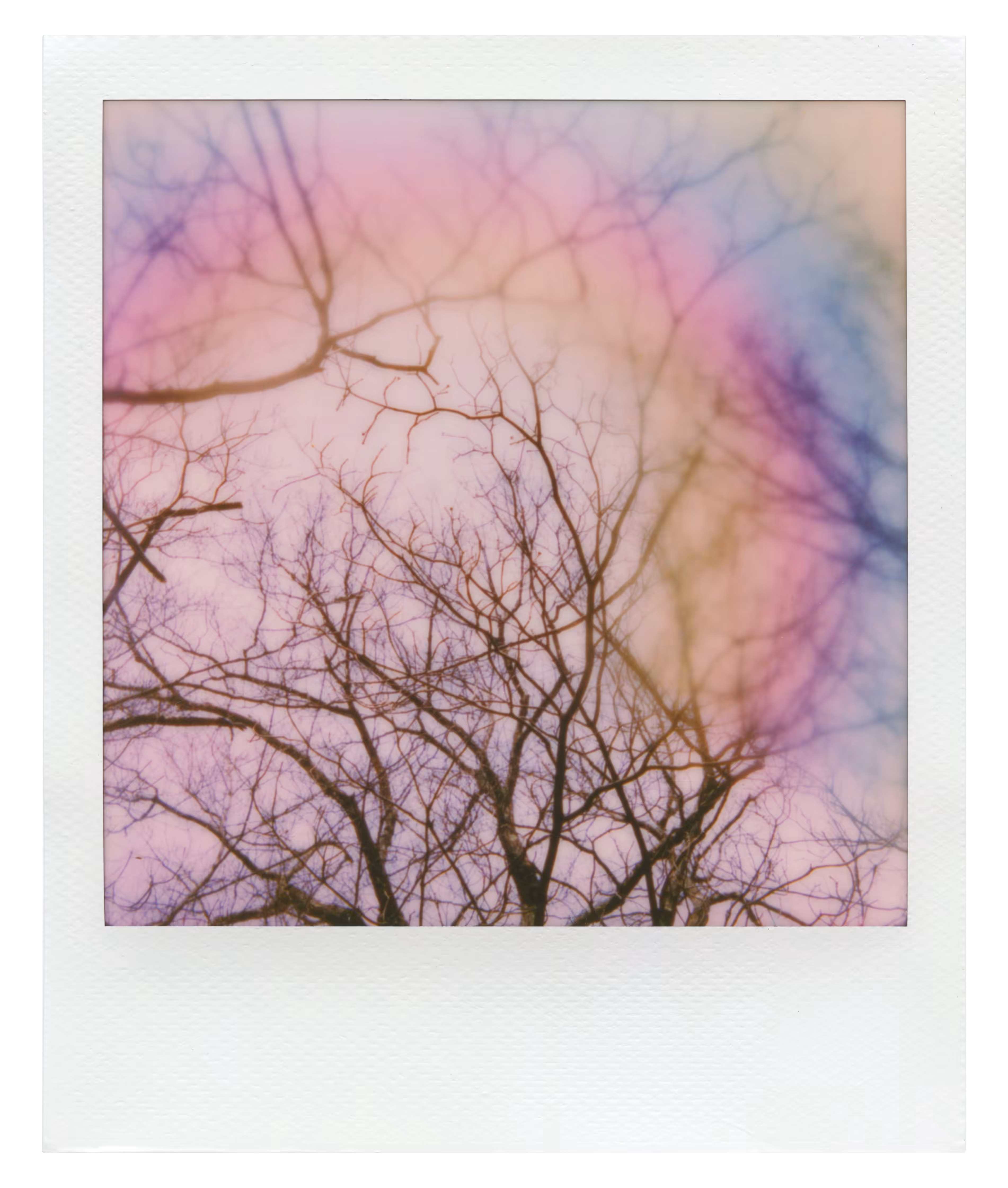 Manifestation