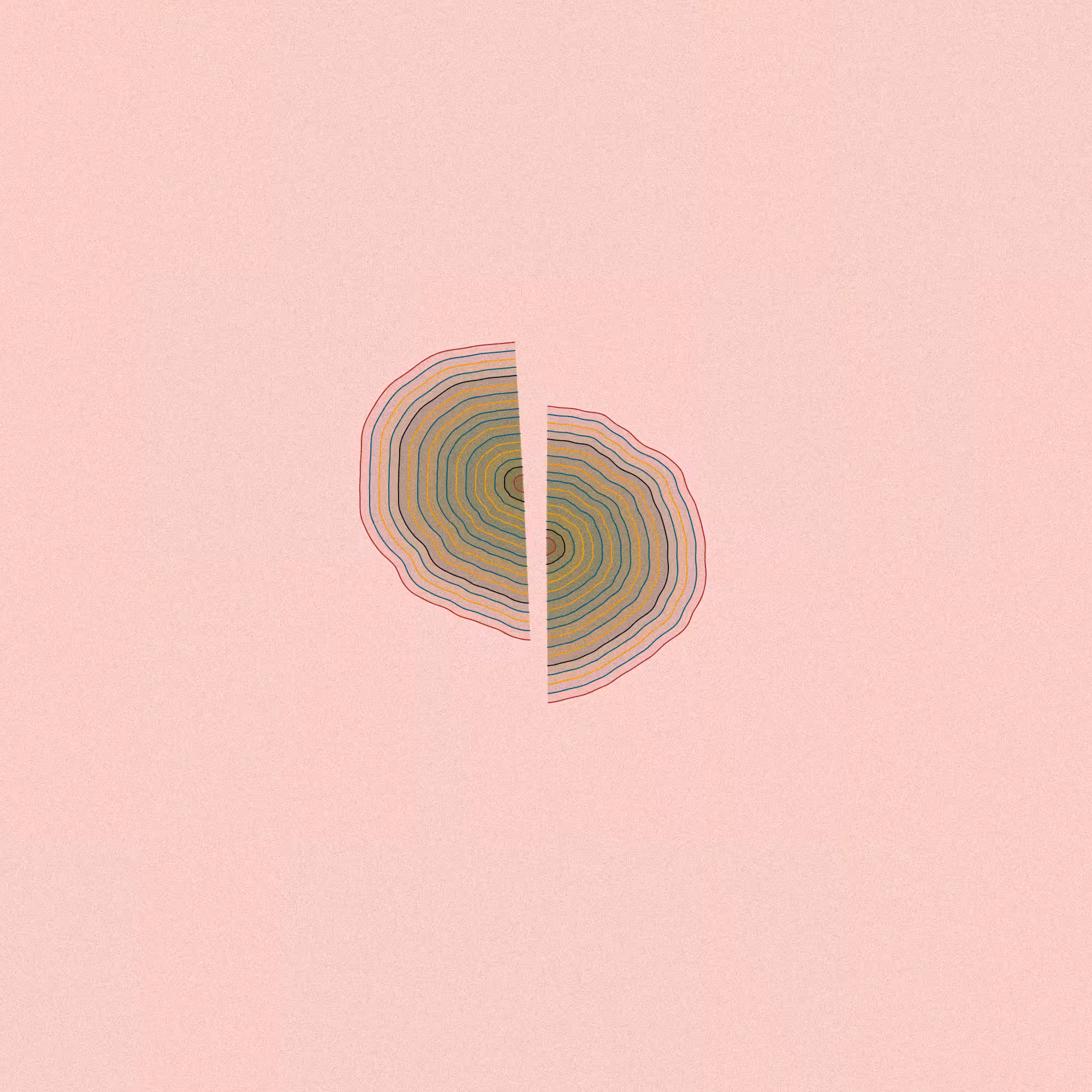 Hashed Onions #16
