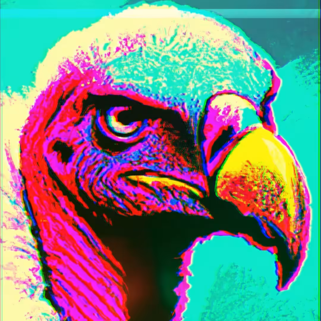 VULTURE - SA#023