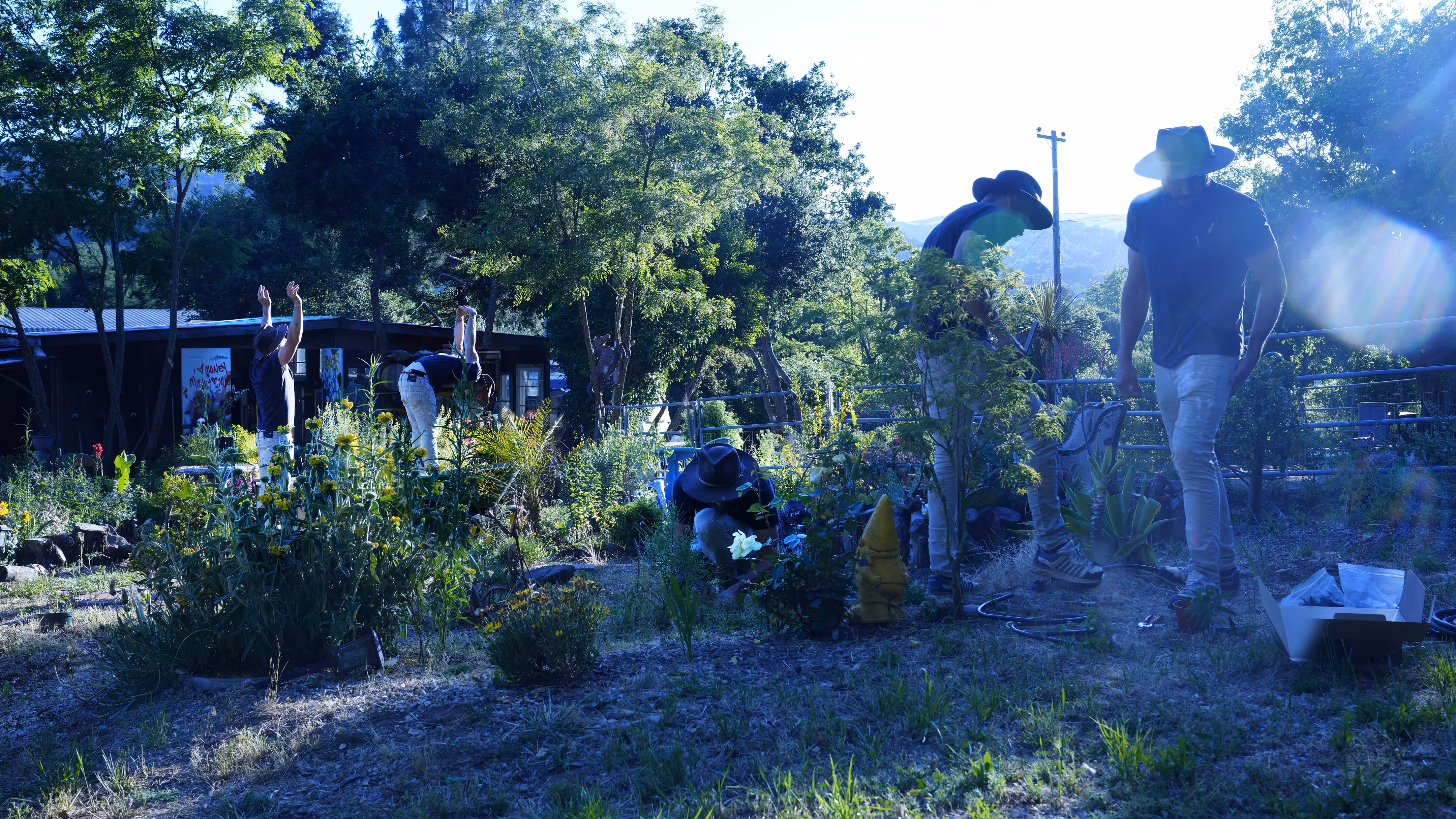 Consensus