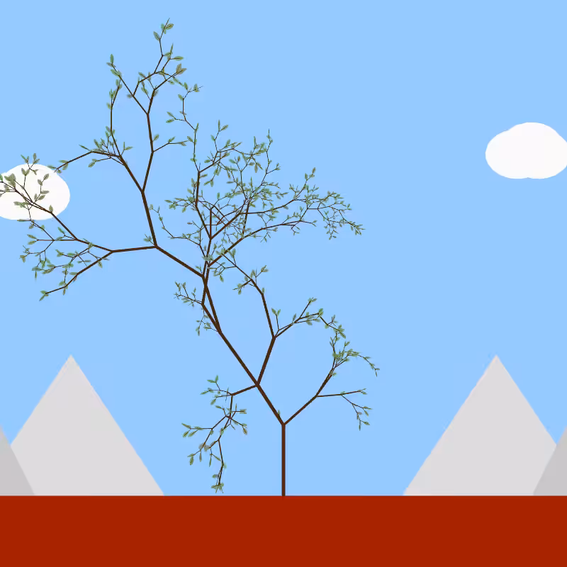 From seedling to tree #7