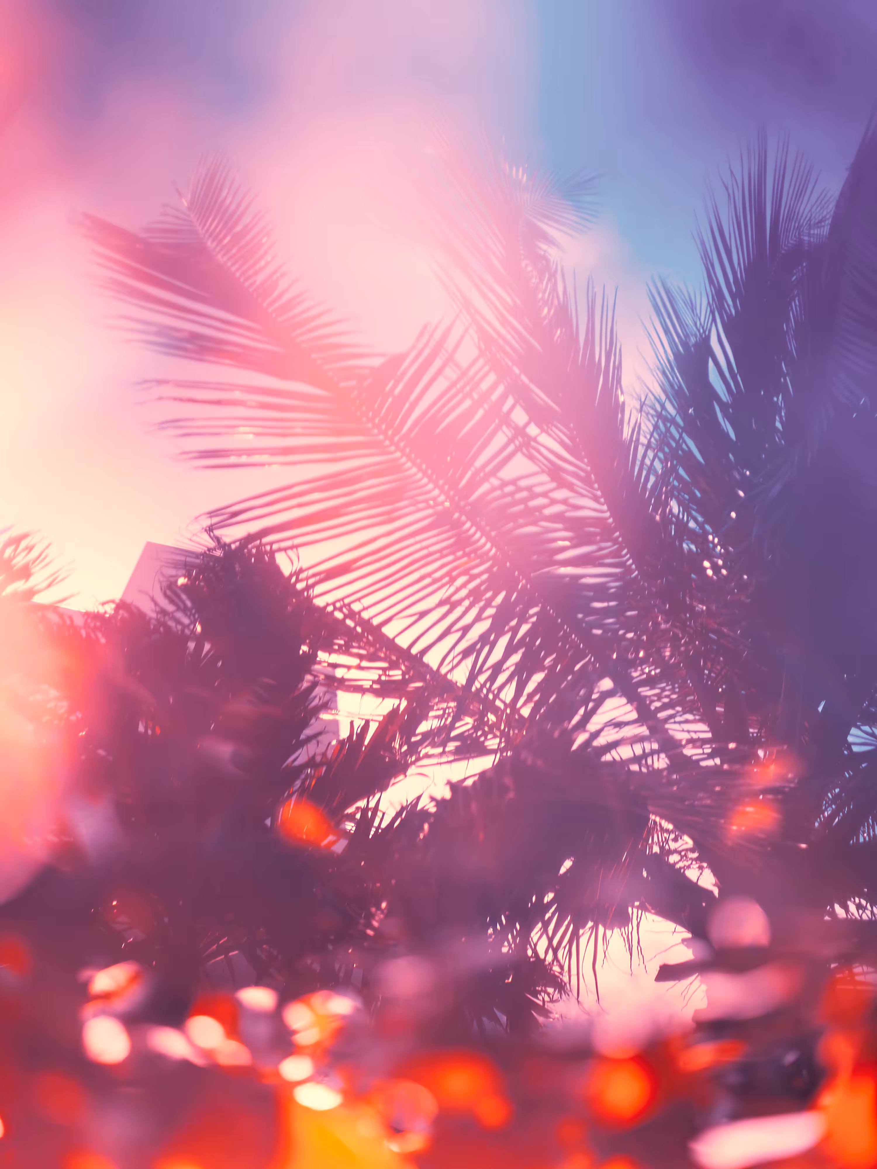 Palm #3