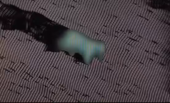 Moon Bear