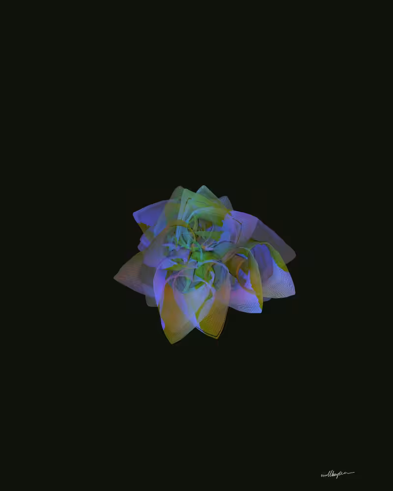 InBloom #99