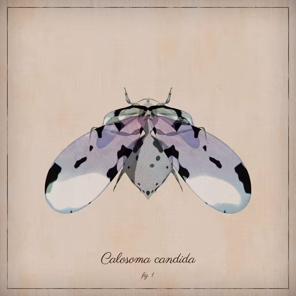 ProcGen Entomology #94