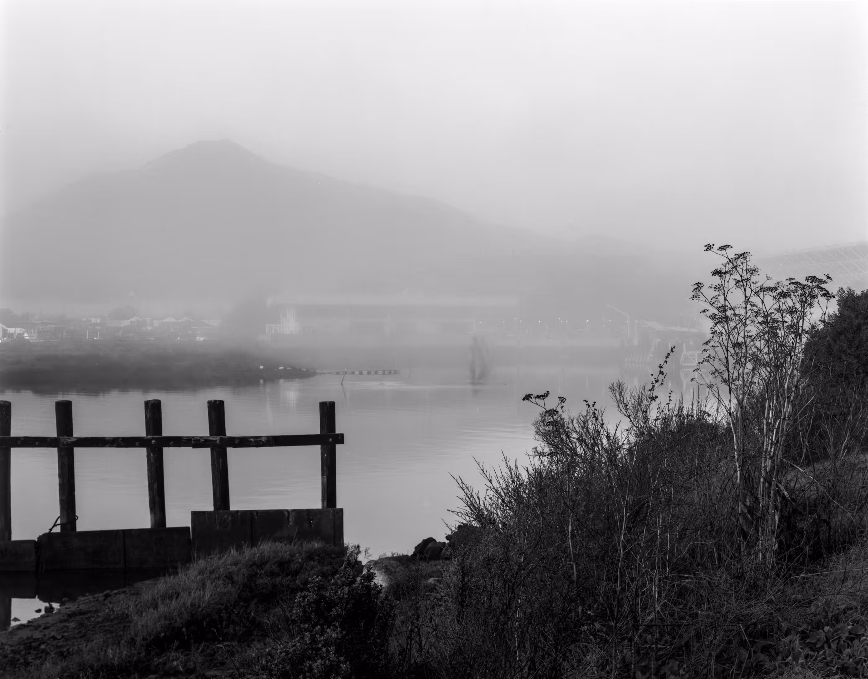 Mt. Tamalpais from Larkspur
