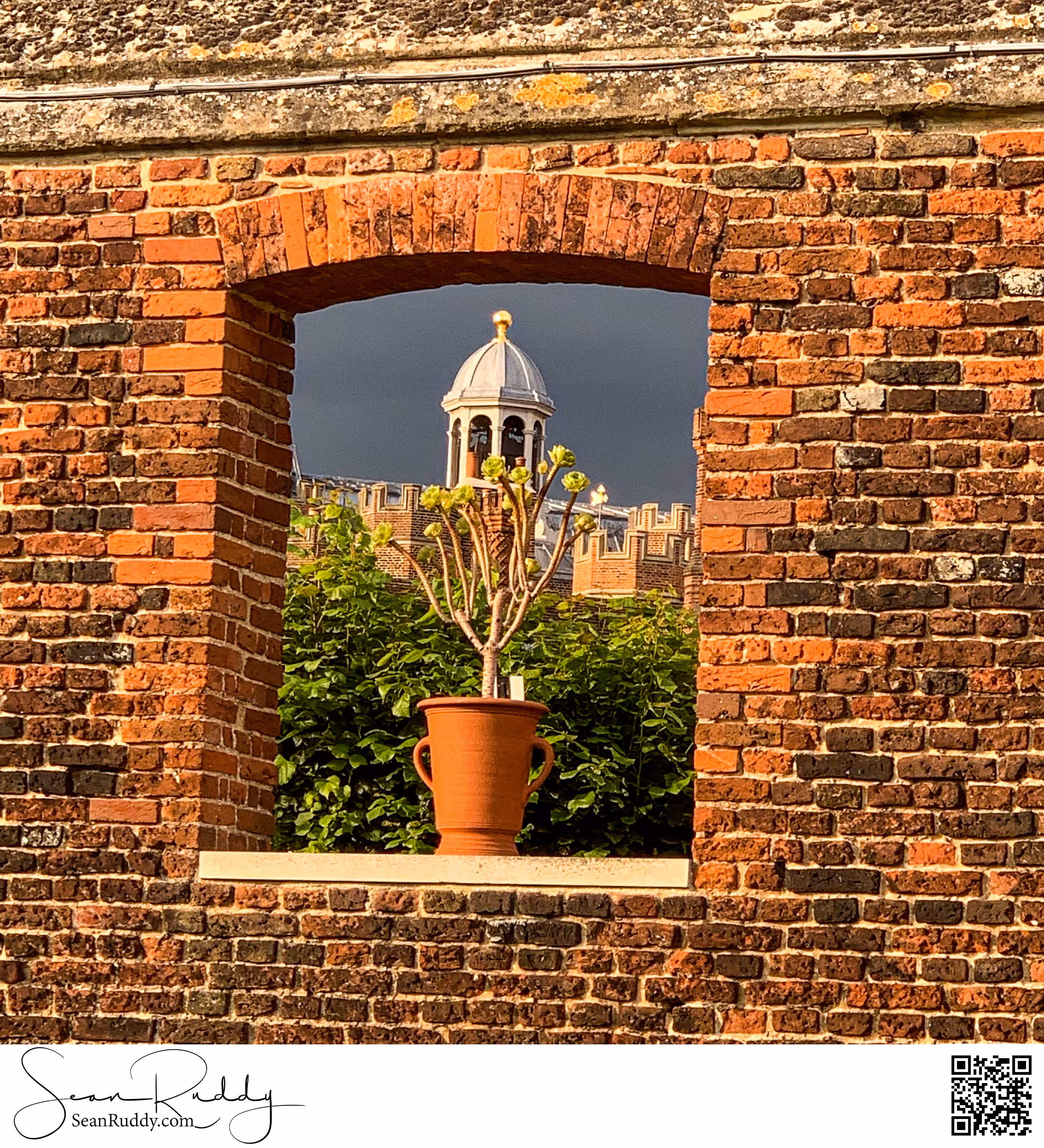 Pot in a window in a Palace