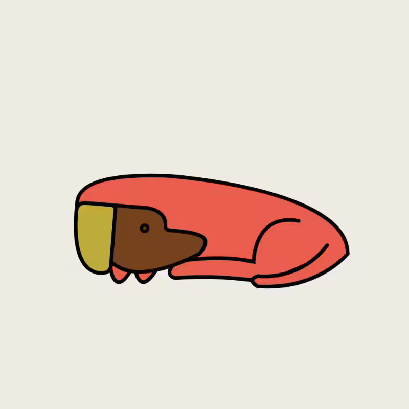 GOOD DOG #168