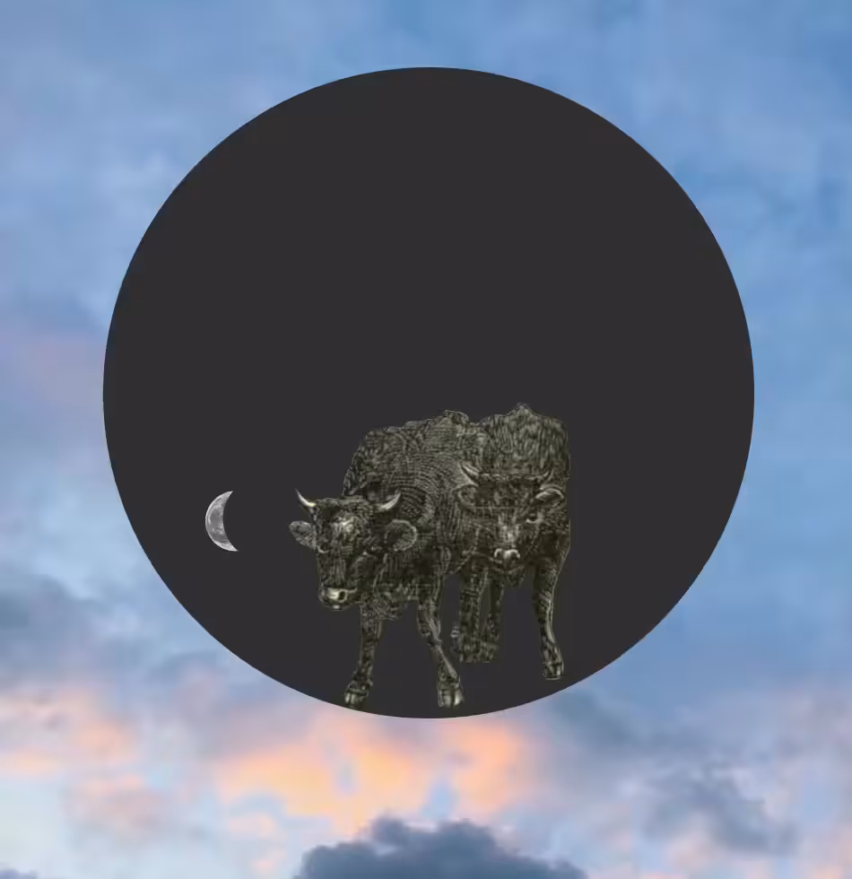 Sun and moon in taurus