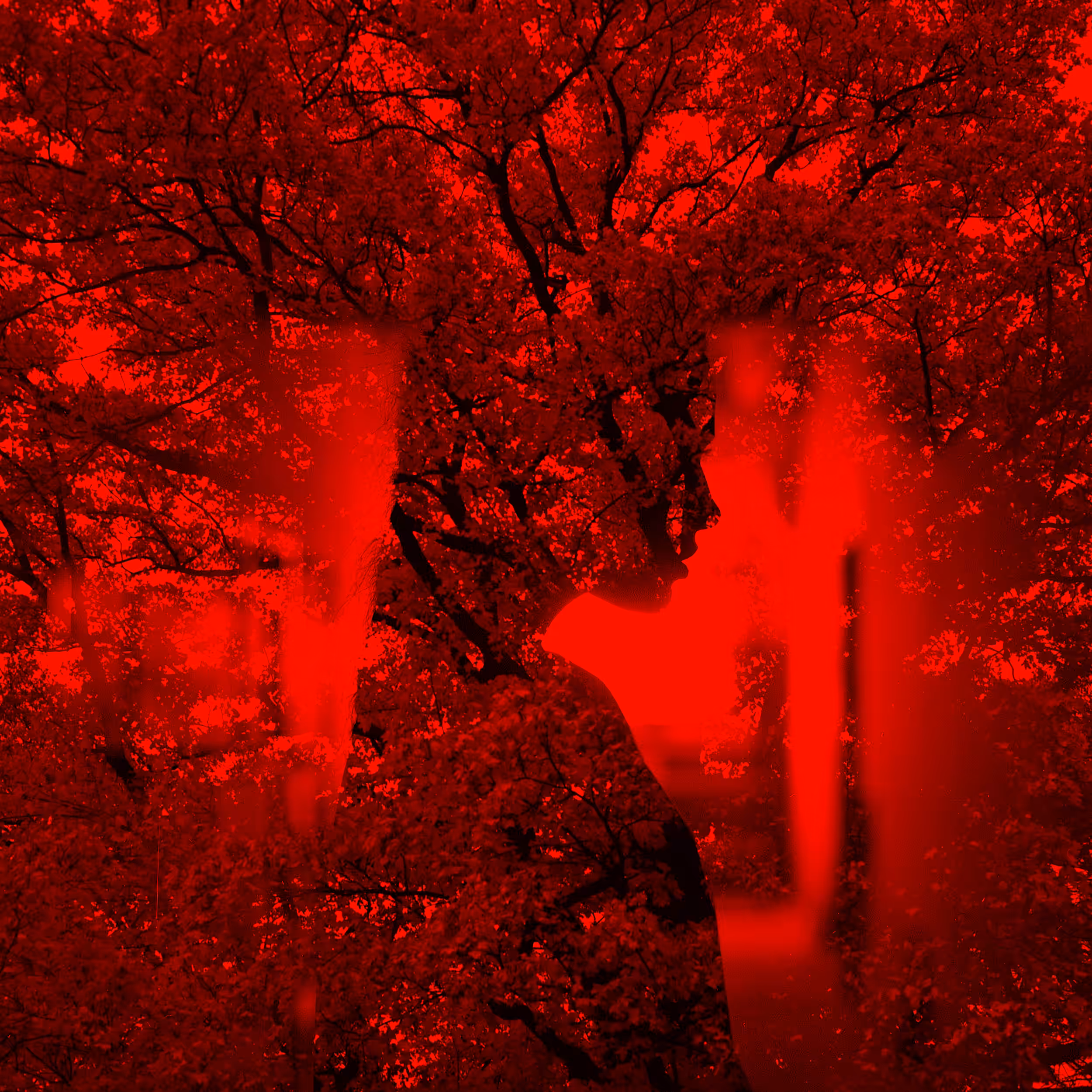 Red Leaves