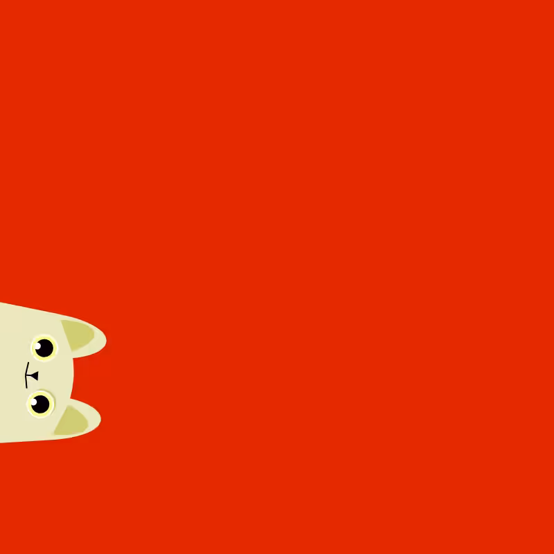 Where is the cat? #12