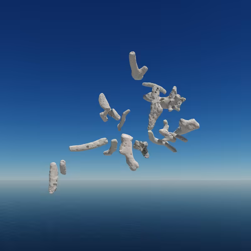 Bone Work (Gulf of Mexico) 2022 #42