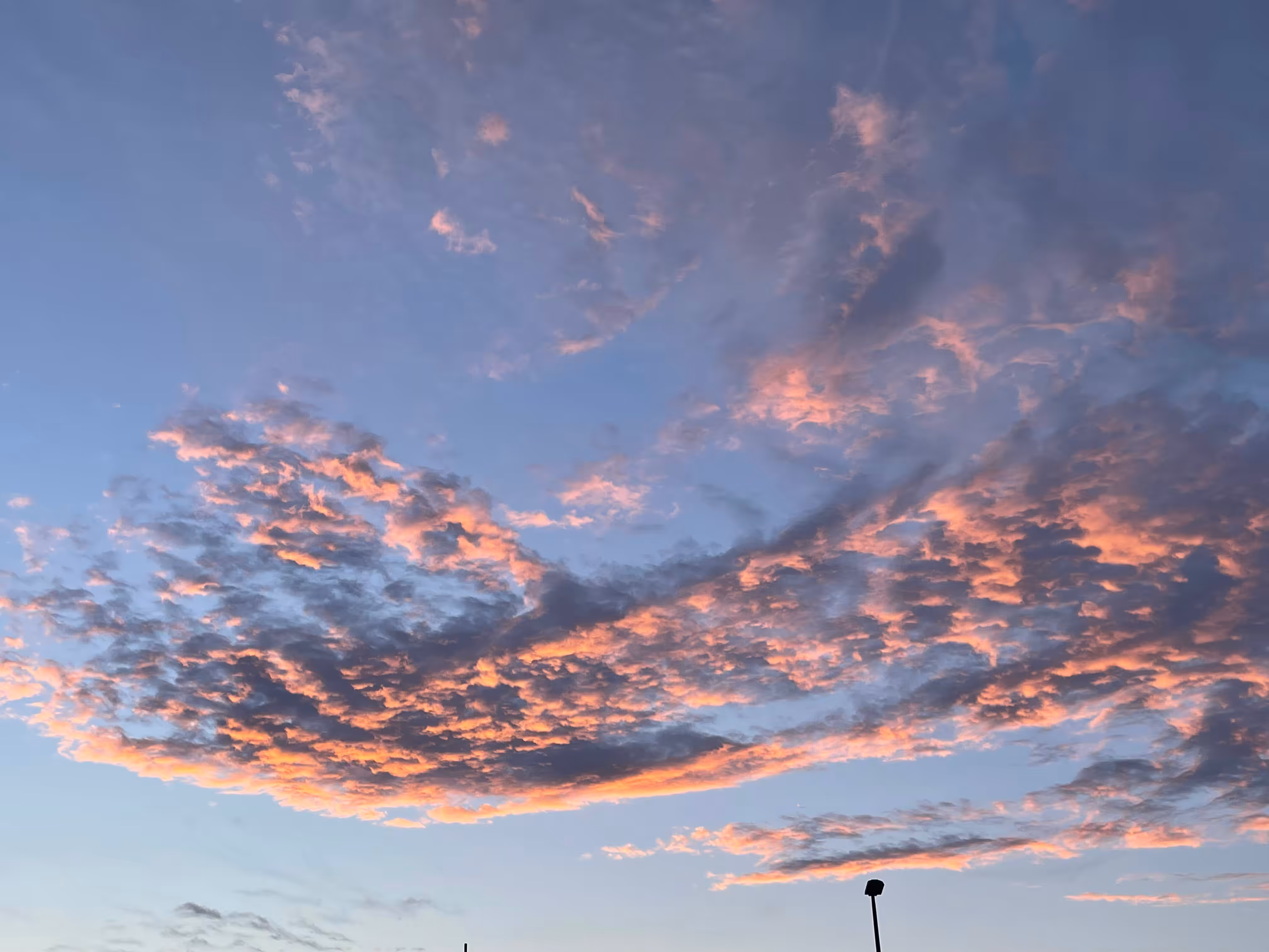LIFE PHOTO GALLERY: NO. 22