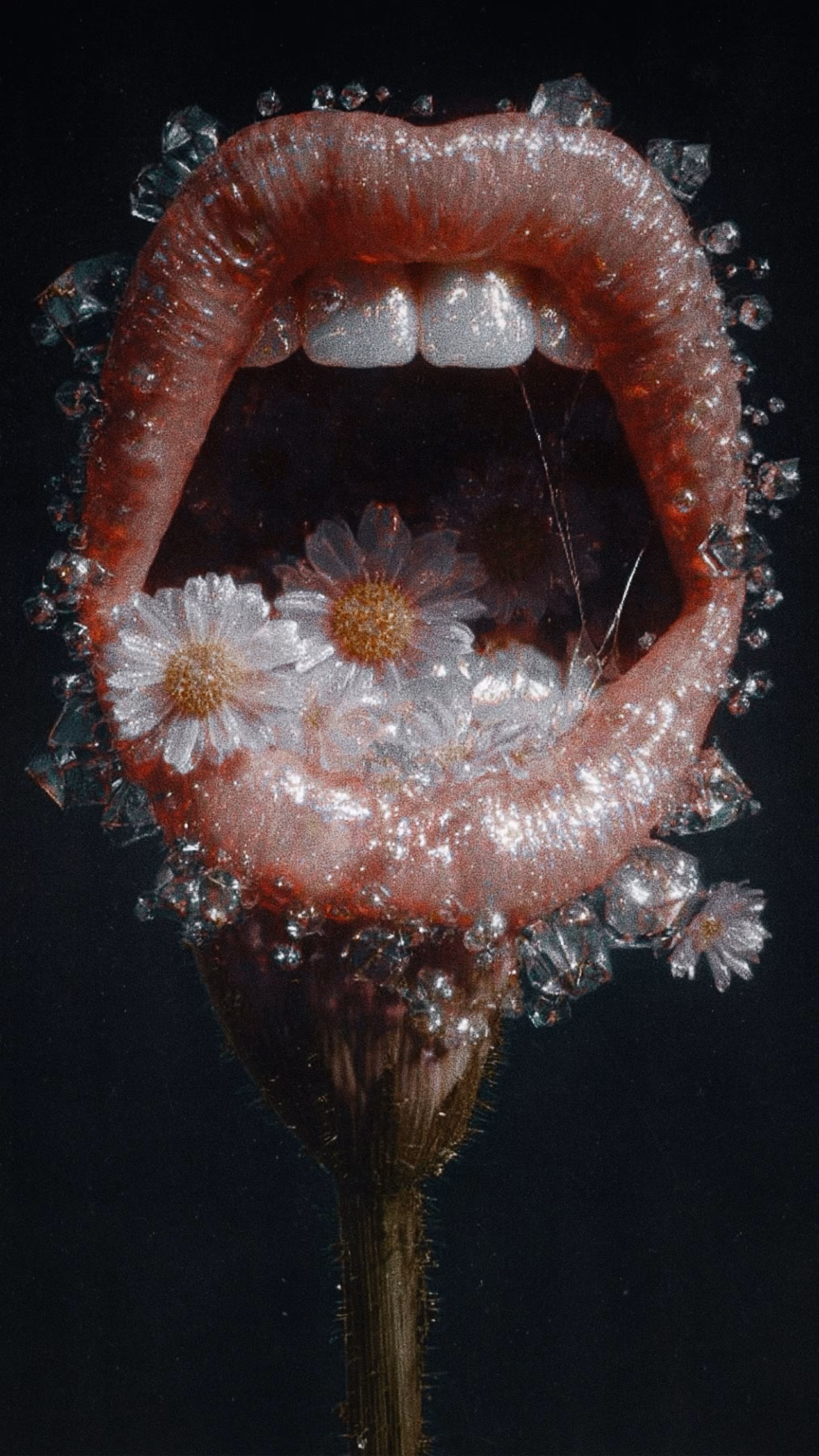 • flower words •