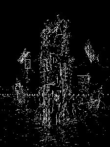 D1RTYPXLS / OE: 𝔅𝔲𝔯𝔫 𝔗𝔥𝔢 𝔓𝔬𝔩𝔢
