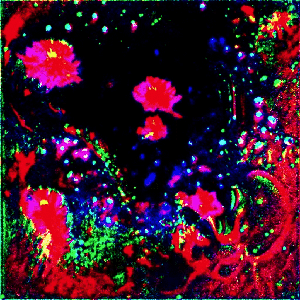 RXALITI #8 [🦑fr@xlume floods the 🌌fractt@lqv]