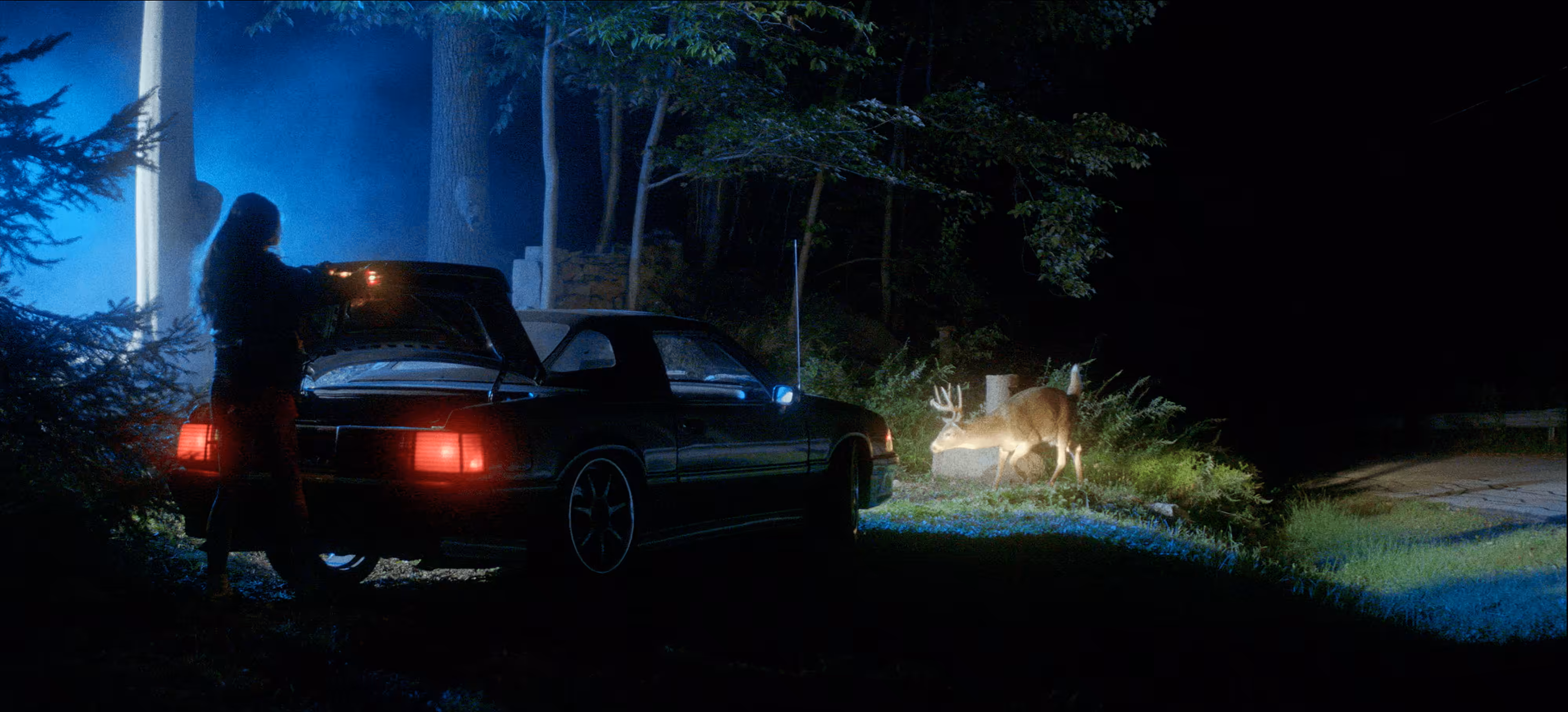 NEAR DARK.