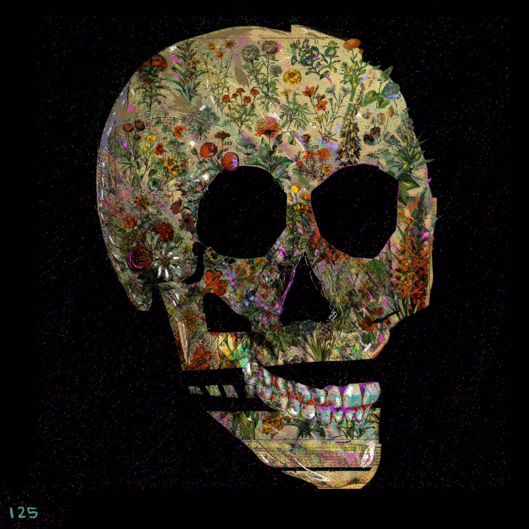 SKULLY #125