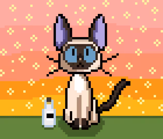 #64 Siamme Cat