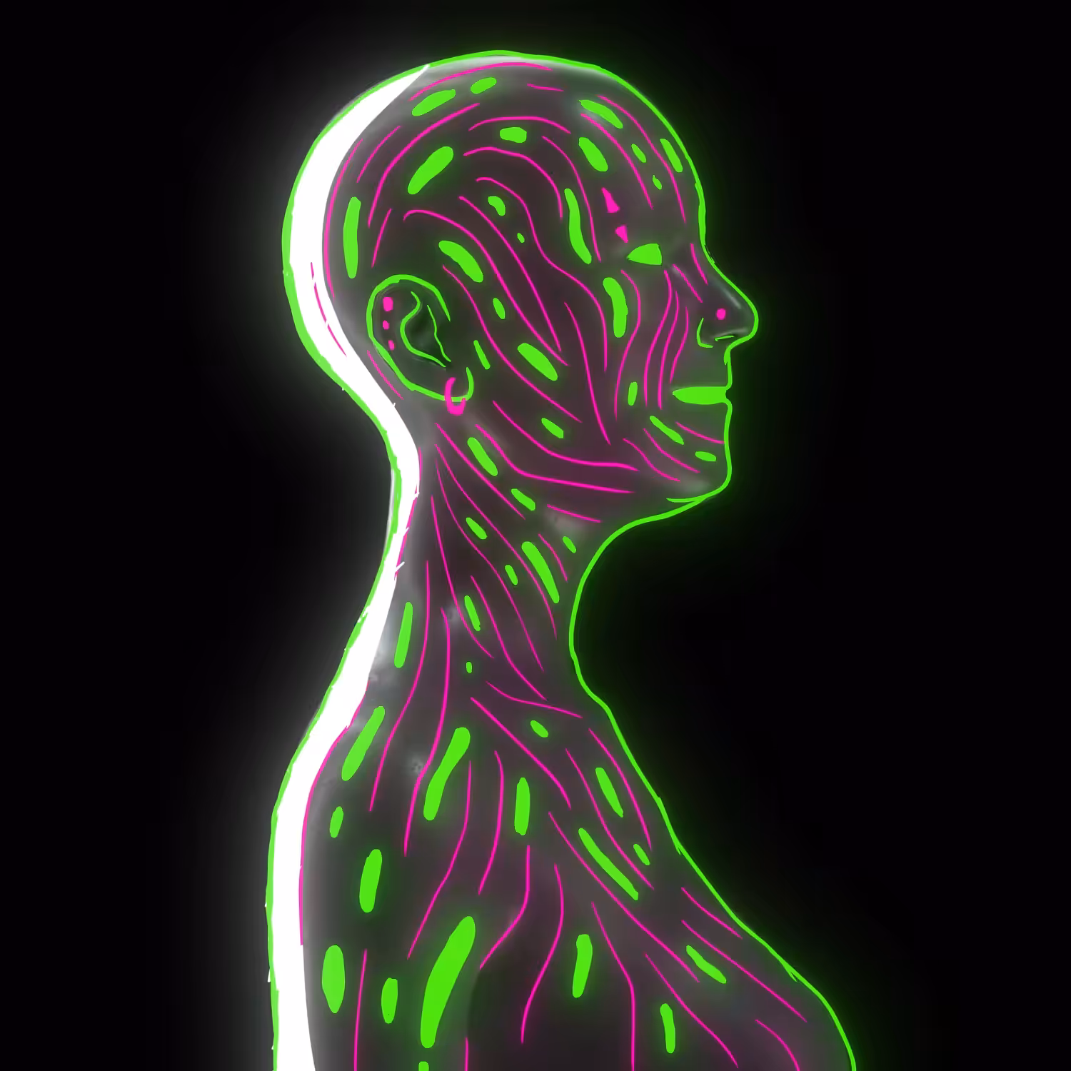 50 FRAMES