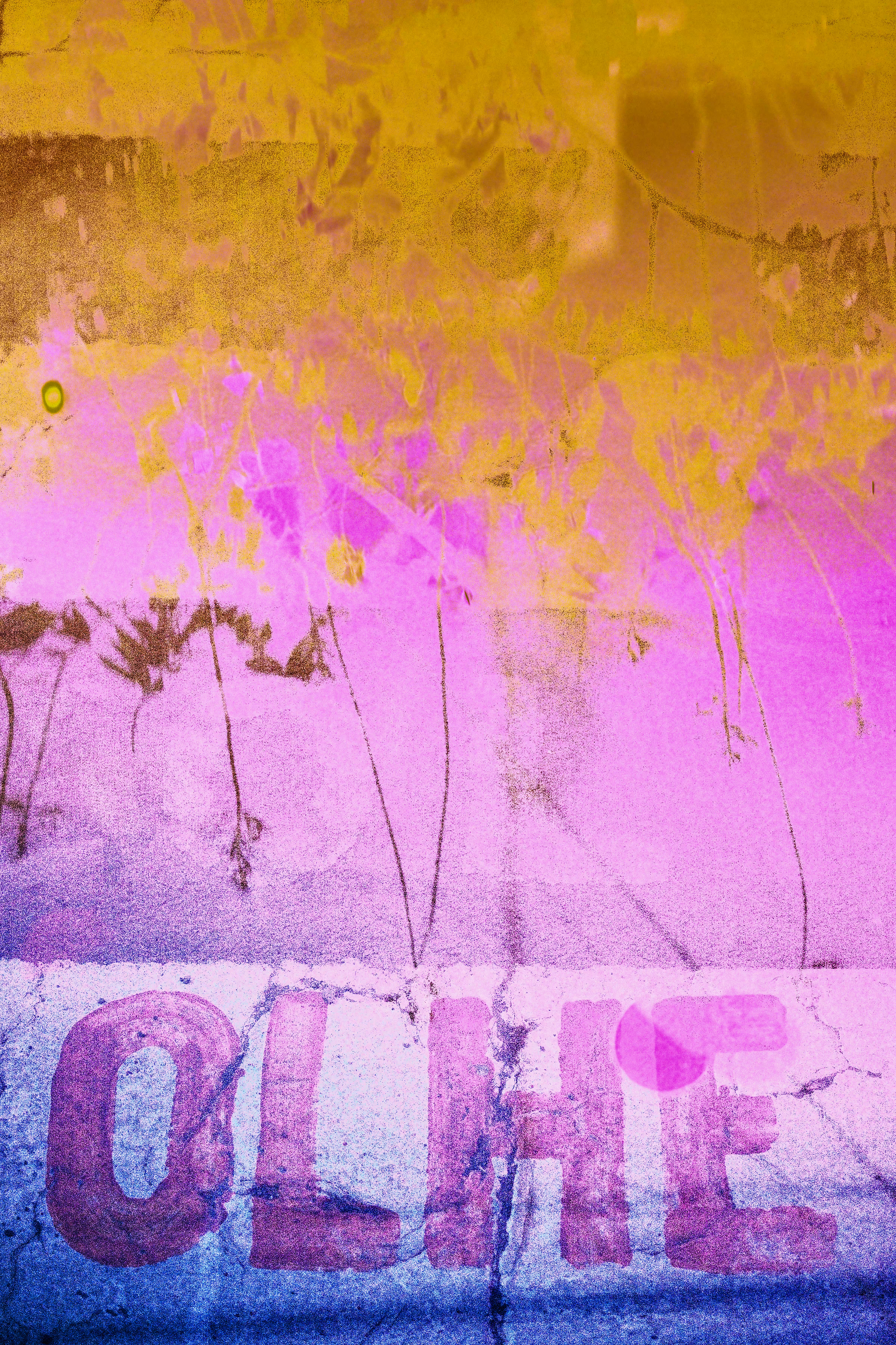 Metaversial #002