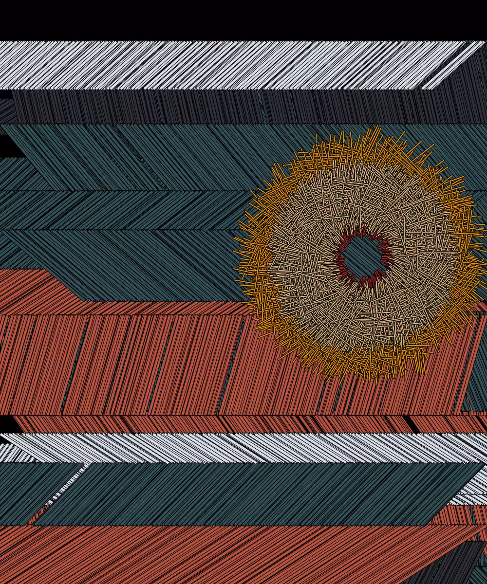 Shavings #63