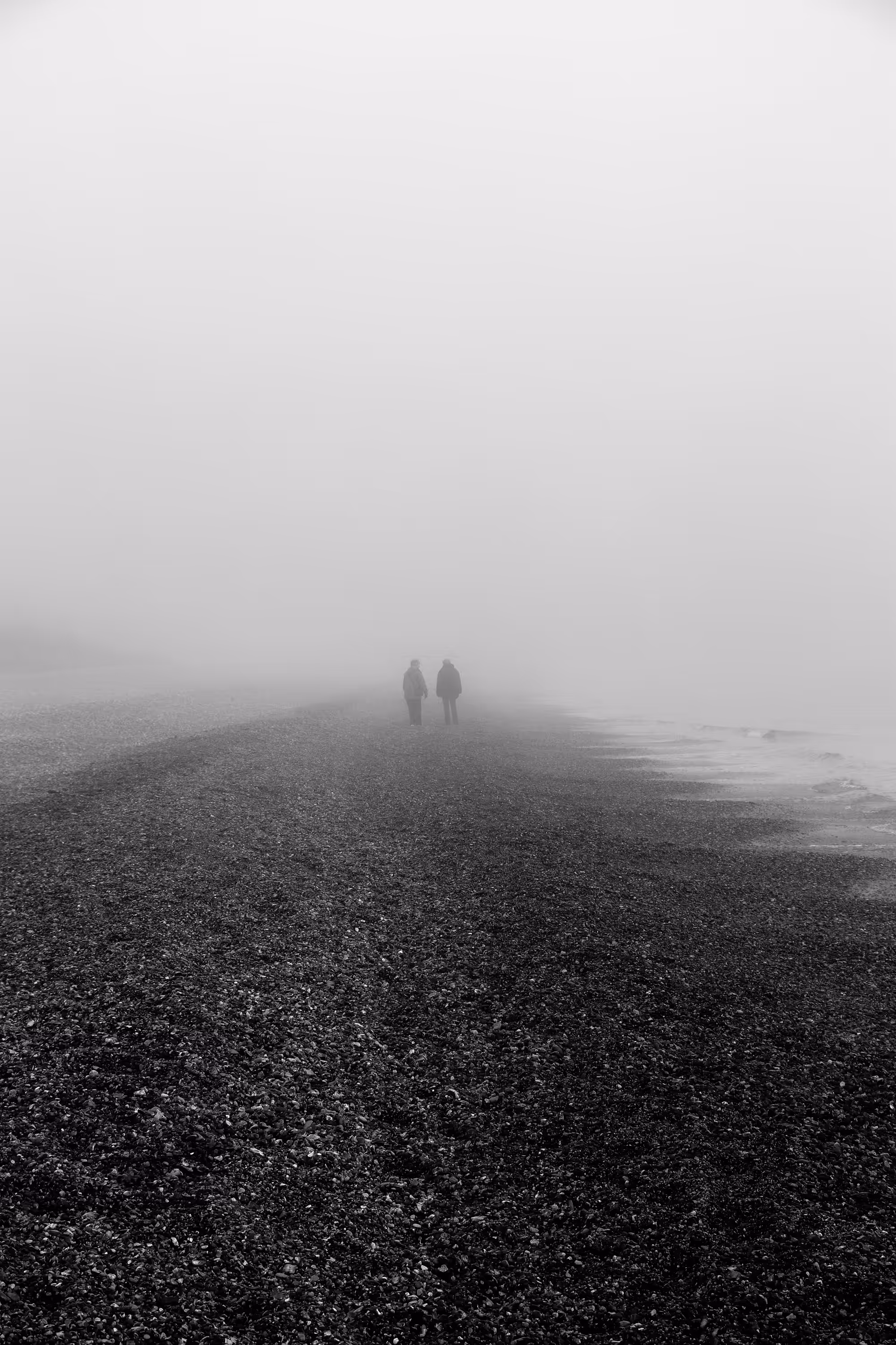 Into the Mist