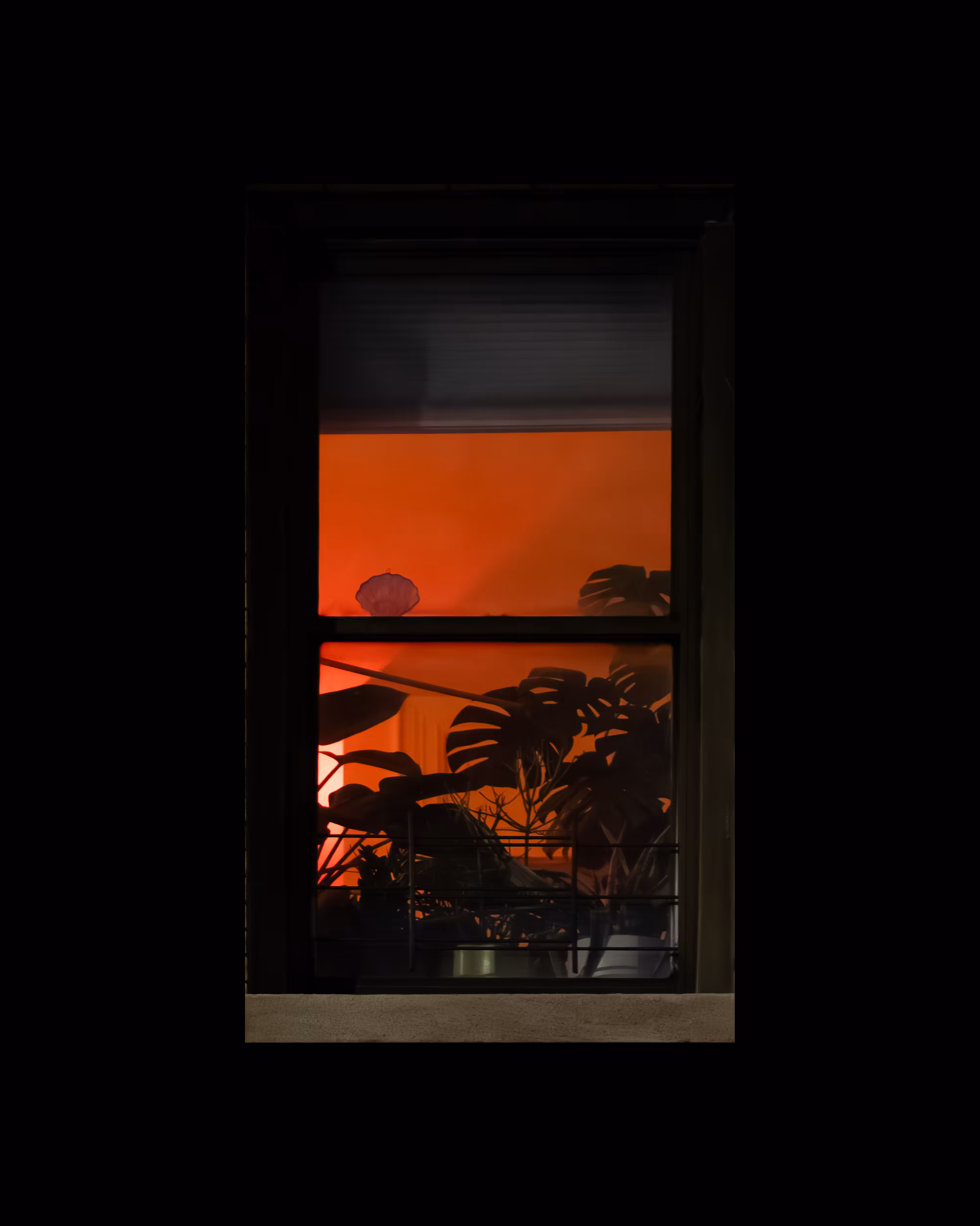 WINDOWS // NYC: WINDOW 630