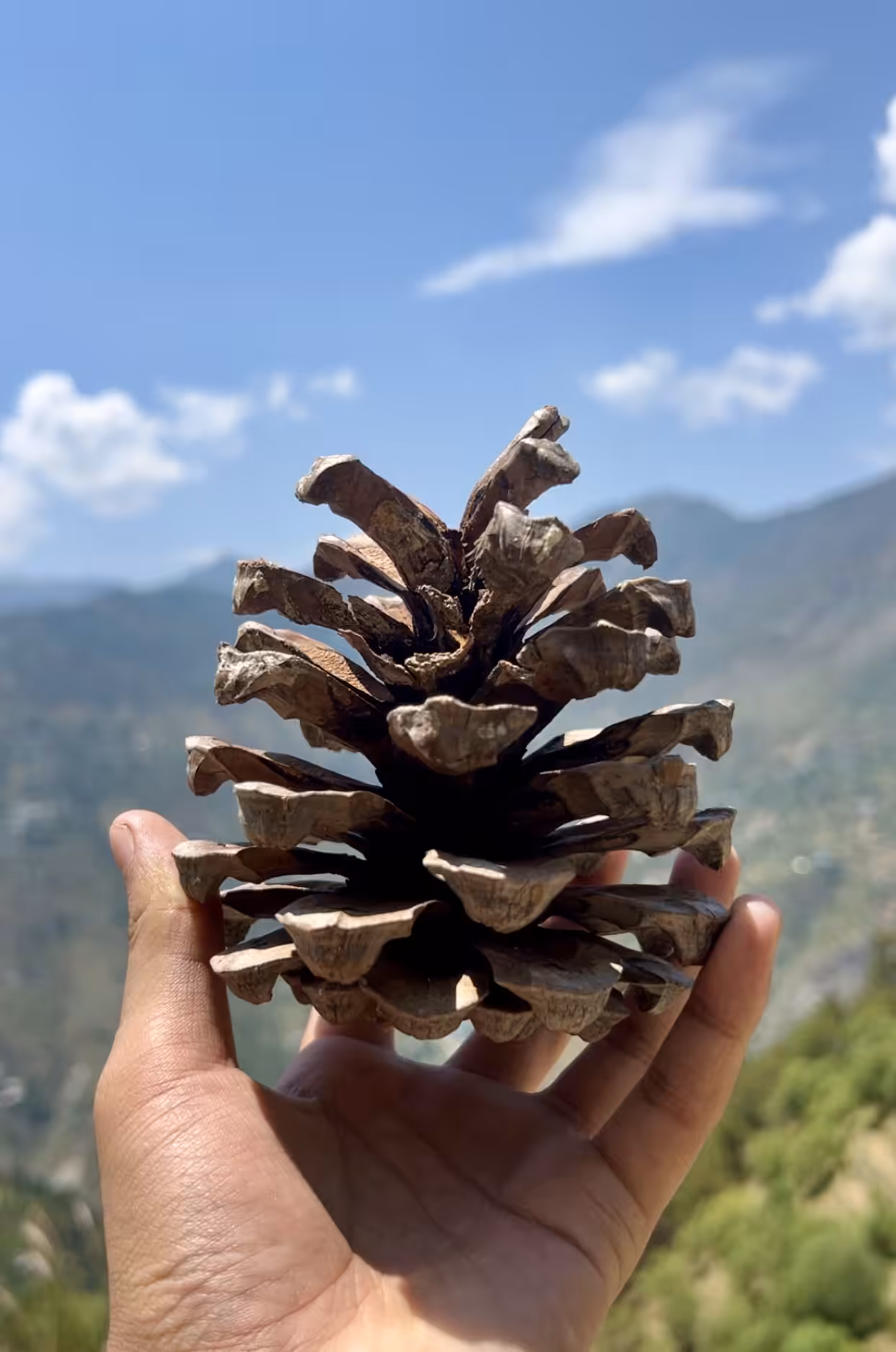 The Happy Valley: A Piece Of Mountain