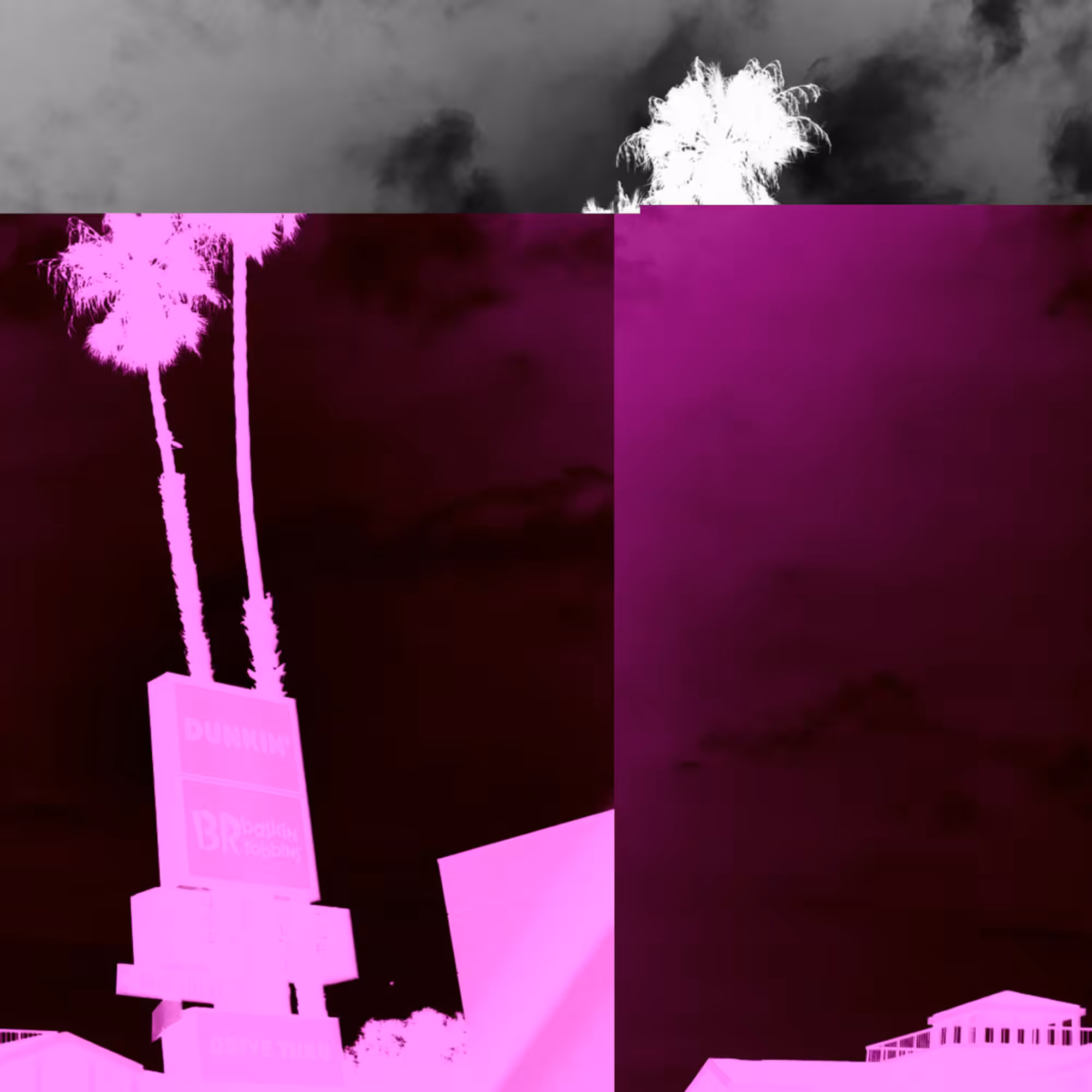 Palm Shift 11