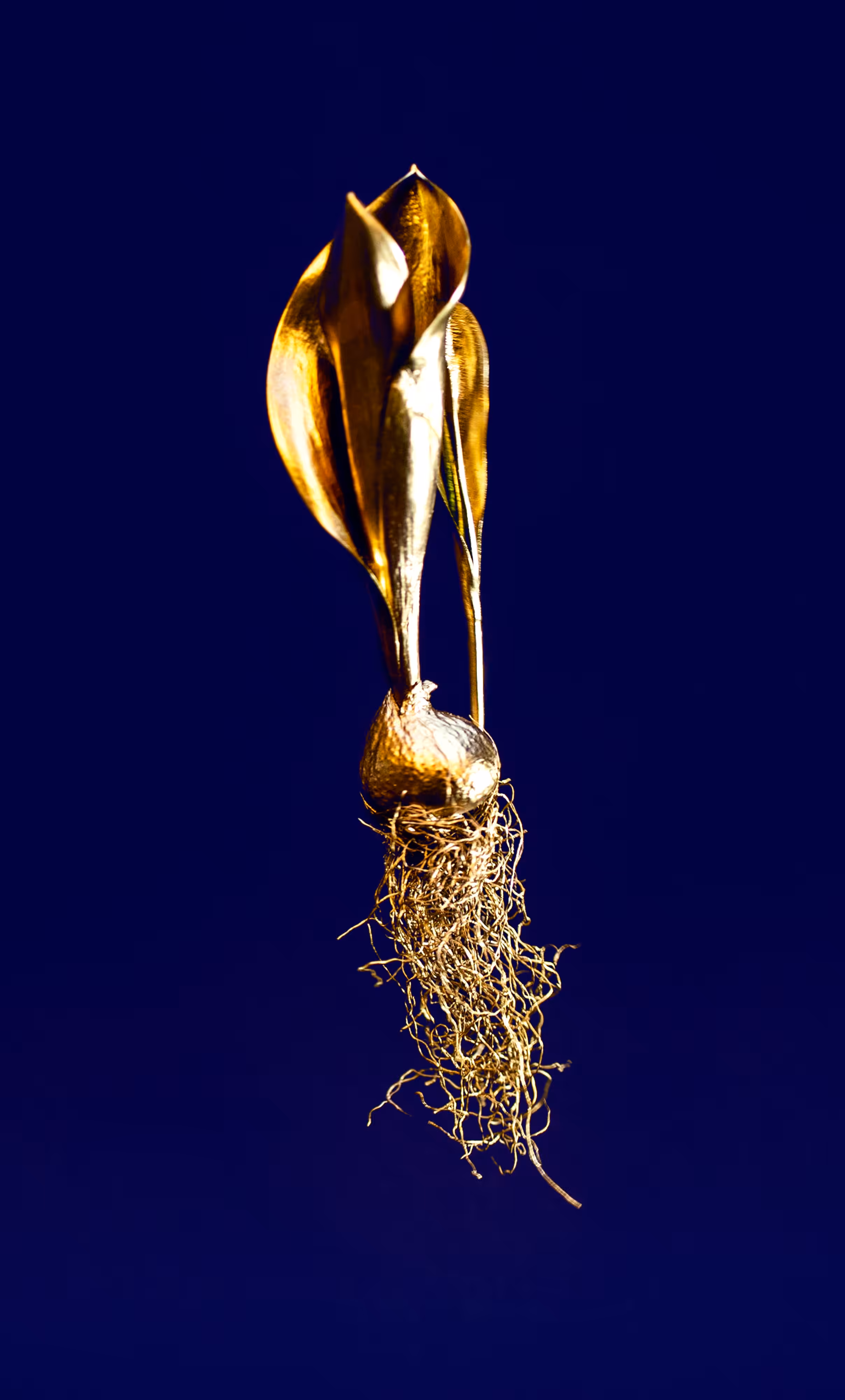 Crypto Tulip - #blue3