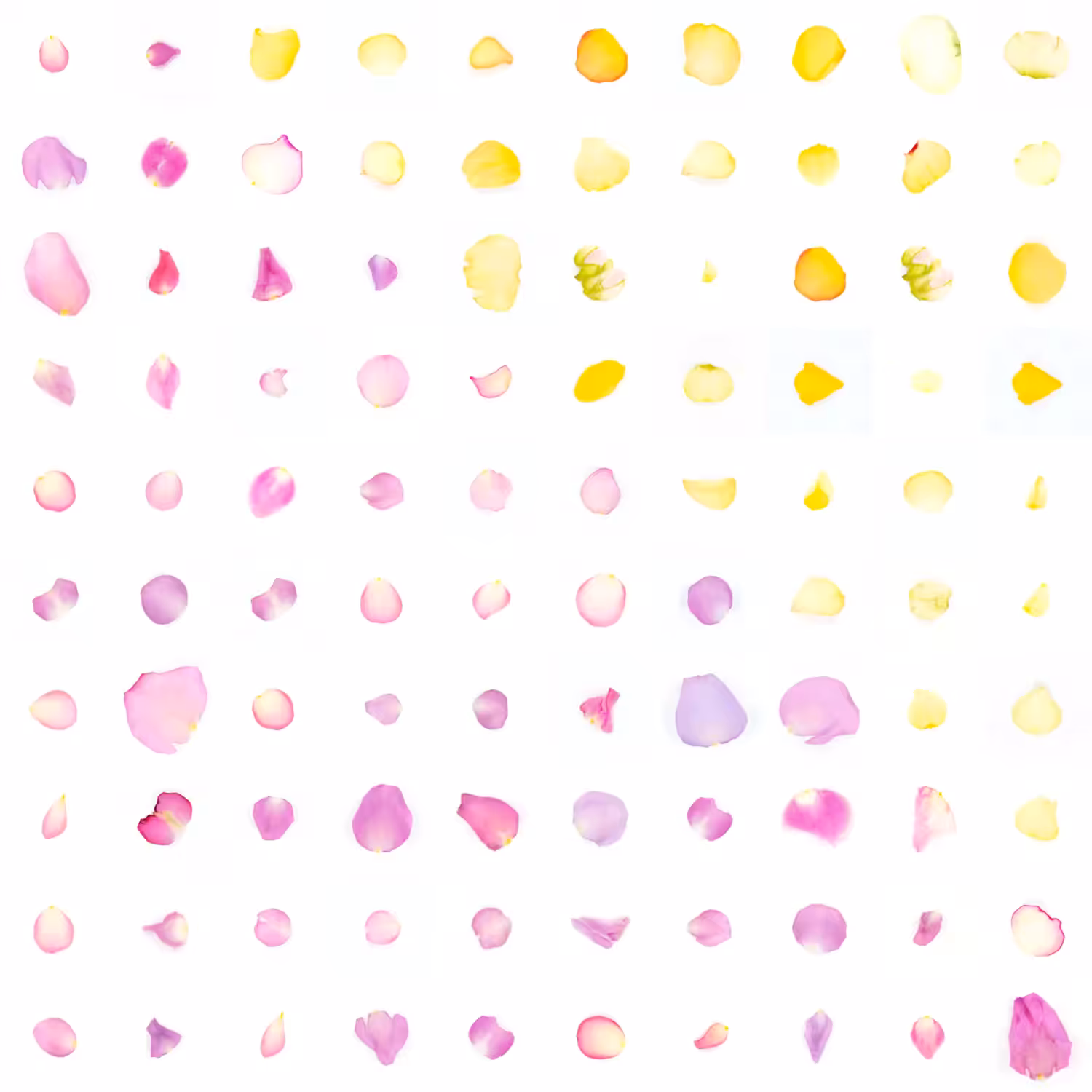 Infinite Petals 10x10#10016