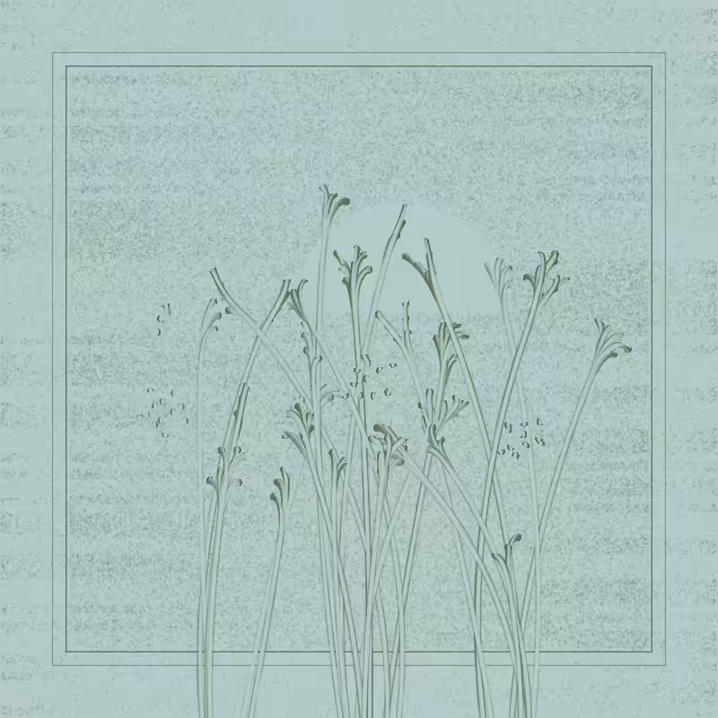 string_pllu #48