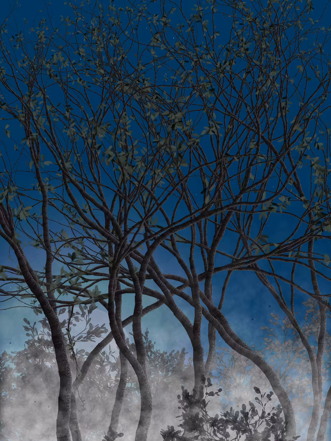 Morning Mist #297