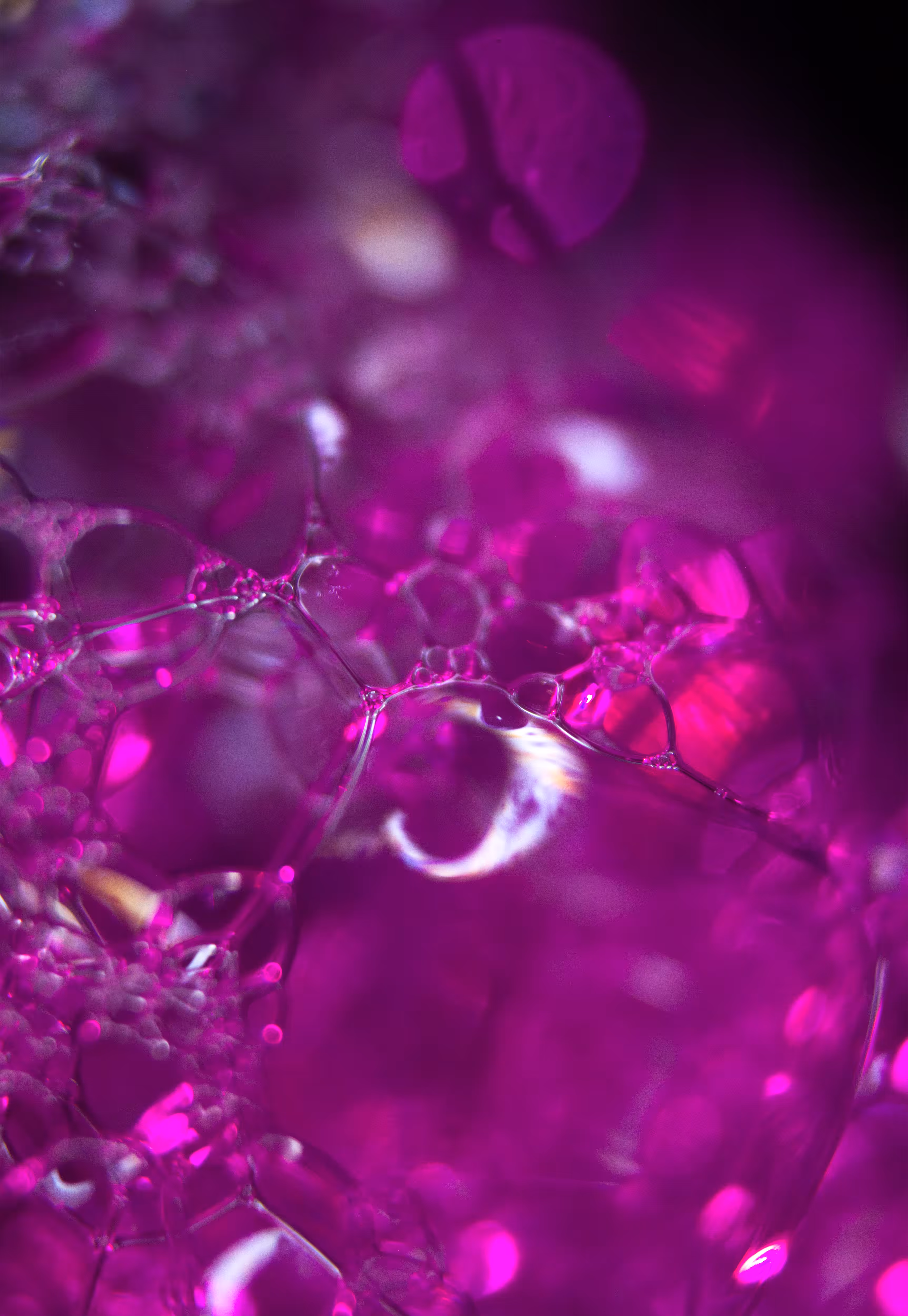 #102 Bubbles