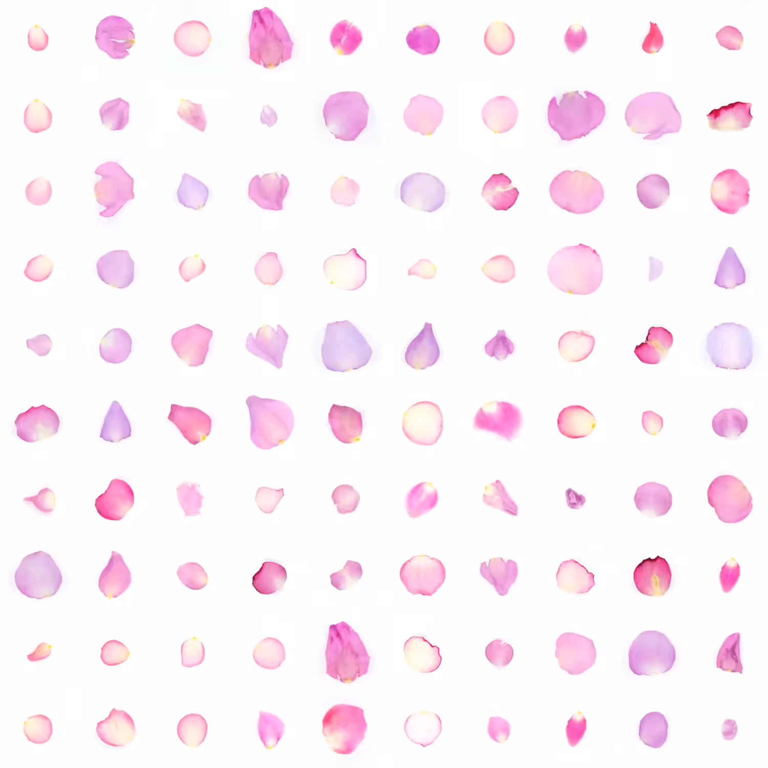 Infinite Petals 10x10#3088