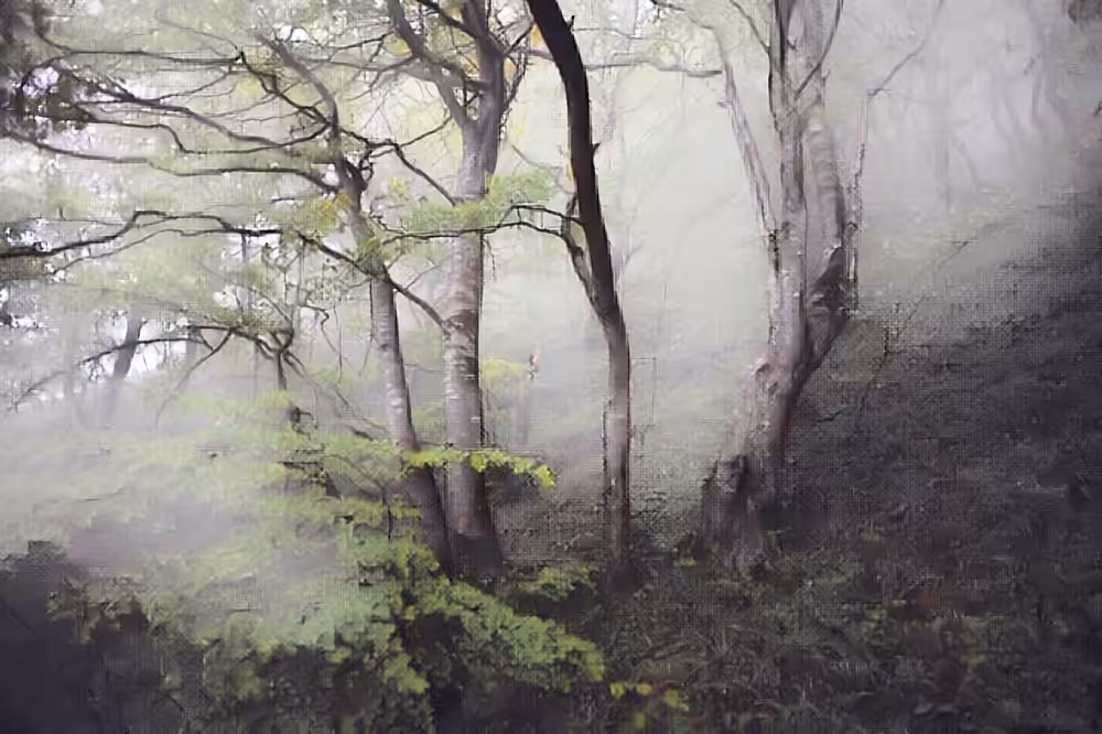 The Hillside