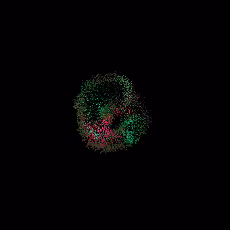 Murmuration #107