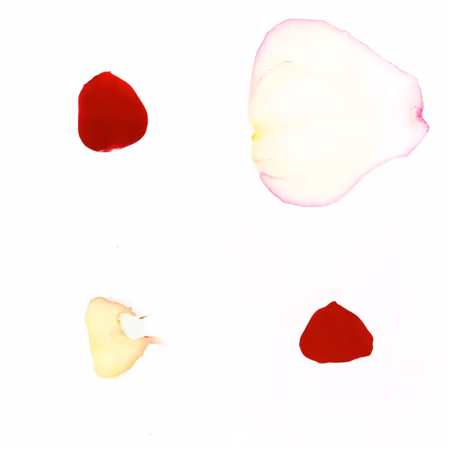 Infinite Petals 2x2#4033