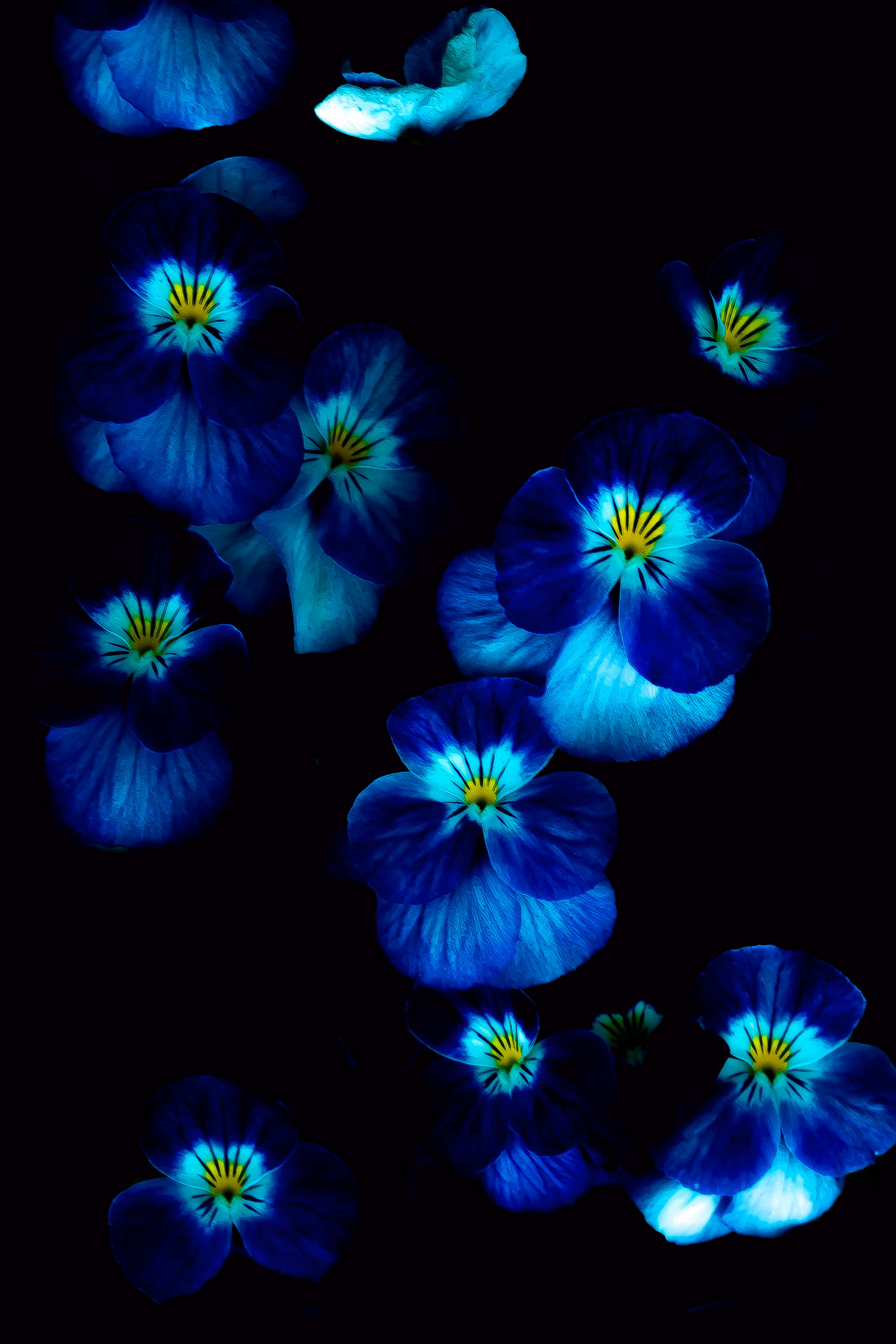 Floating Blue
