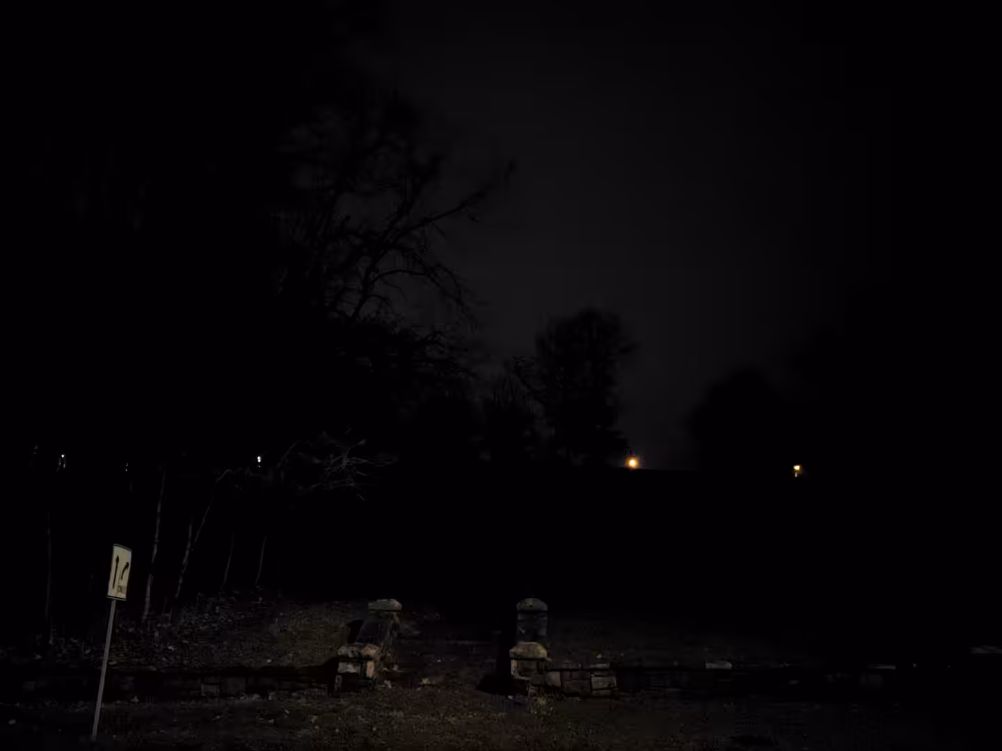 Windy Night
