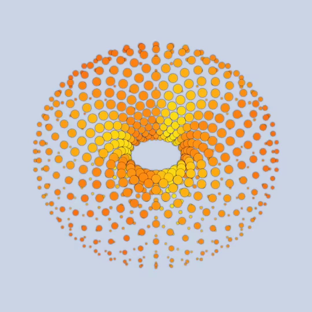 Torus 06