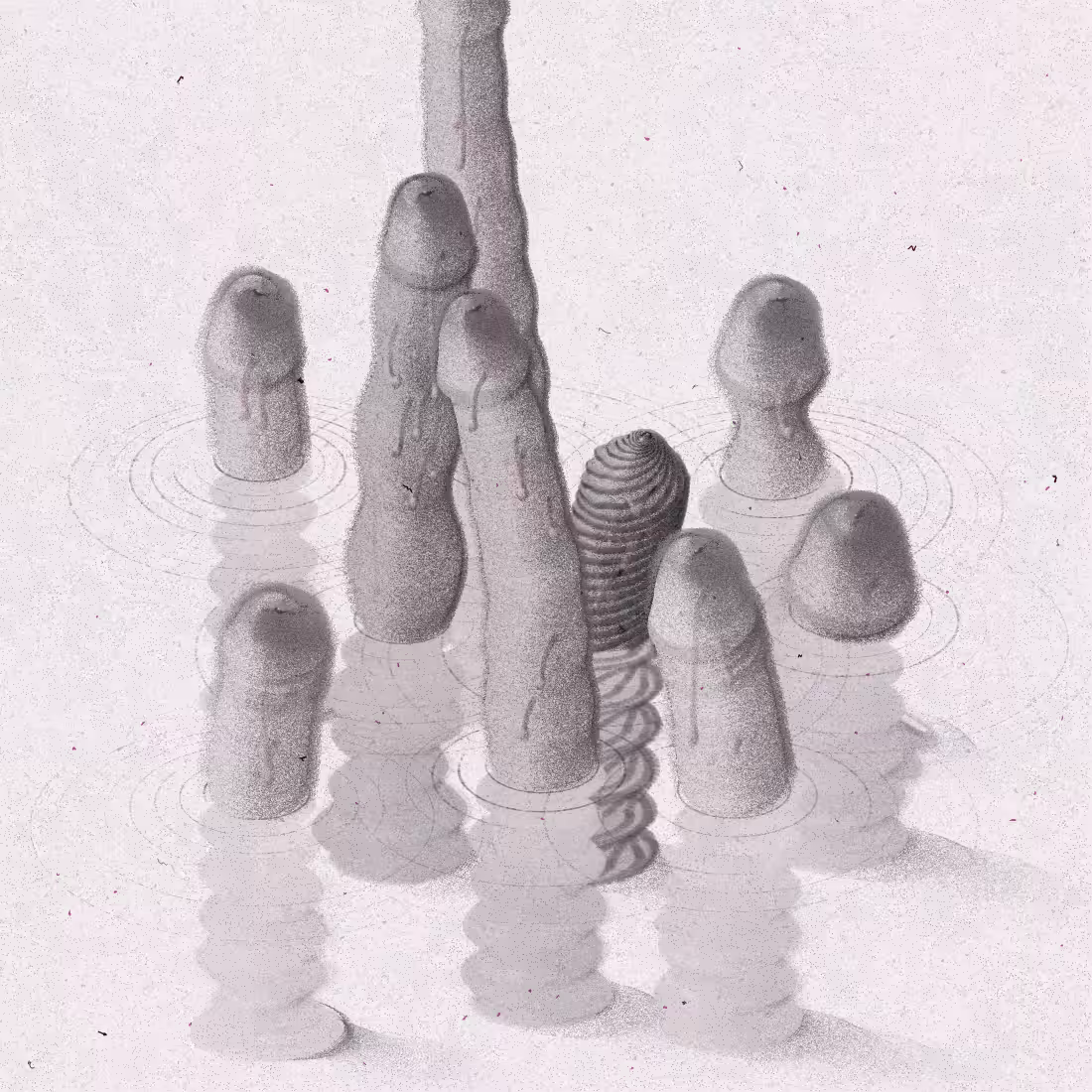 Shape Study 