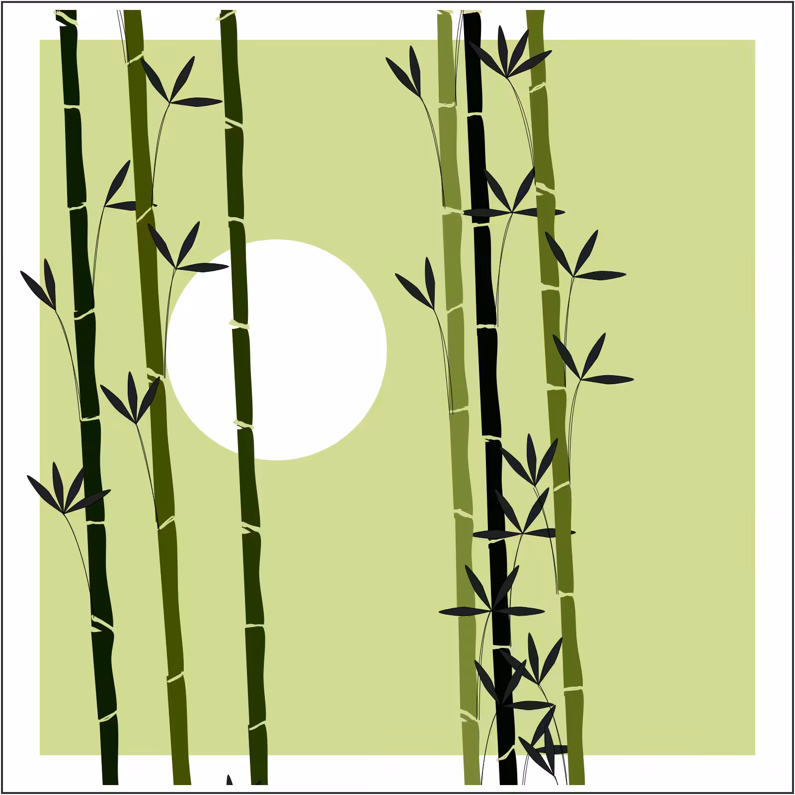 Bamboo and Beyond #4