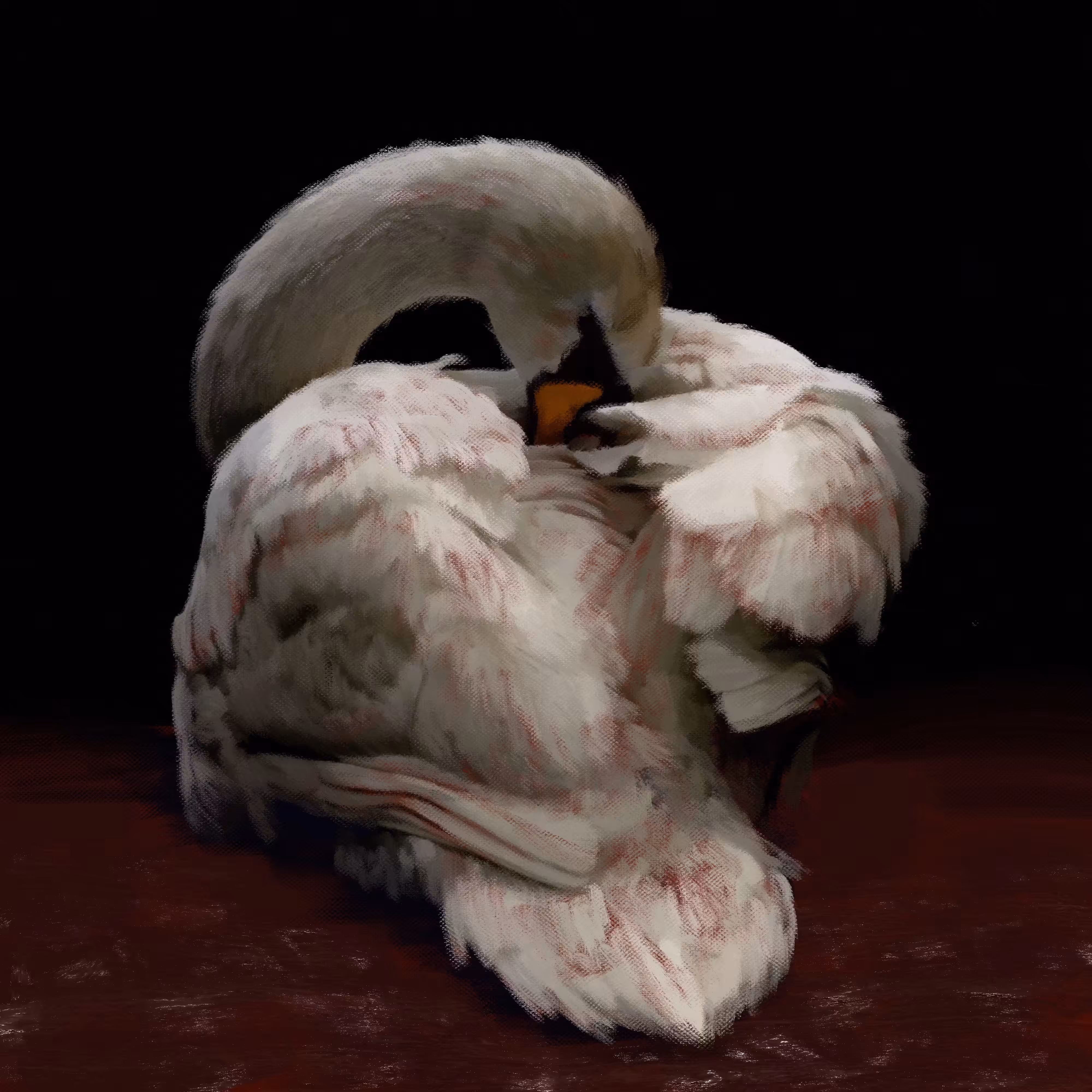 swan lake