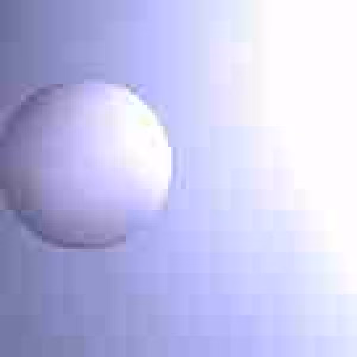 Orbit 172528142