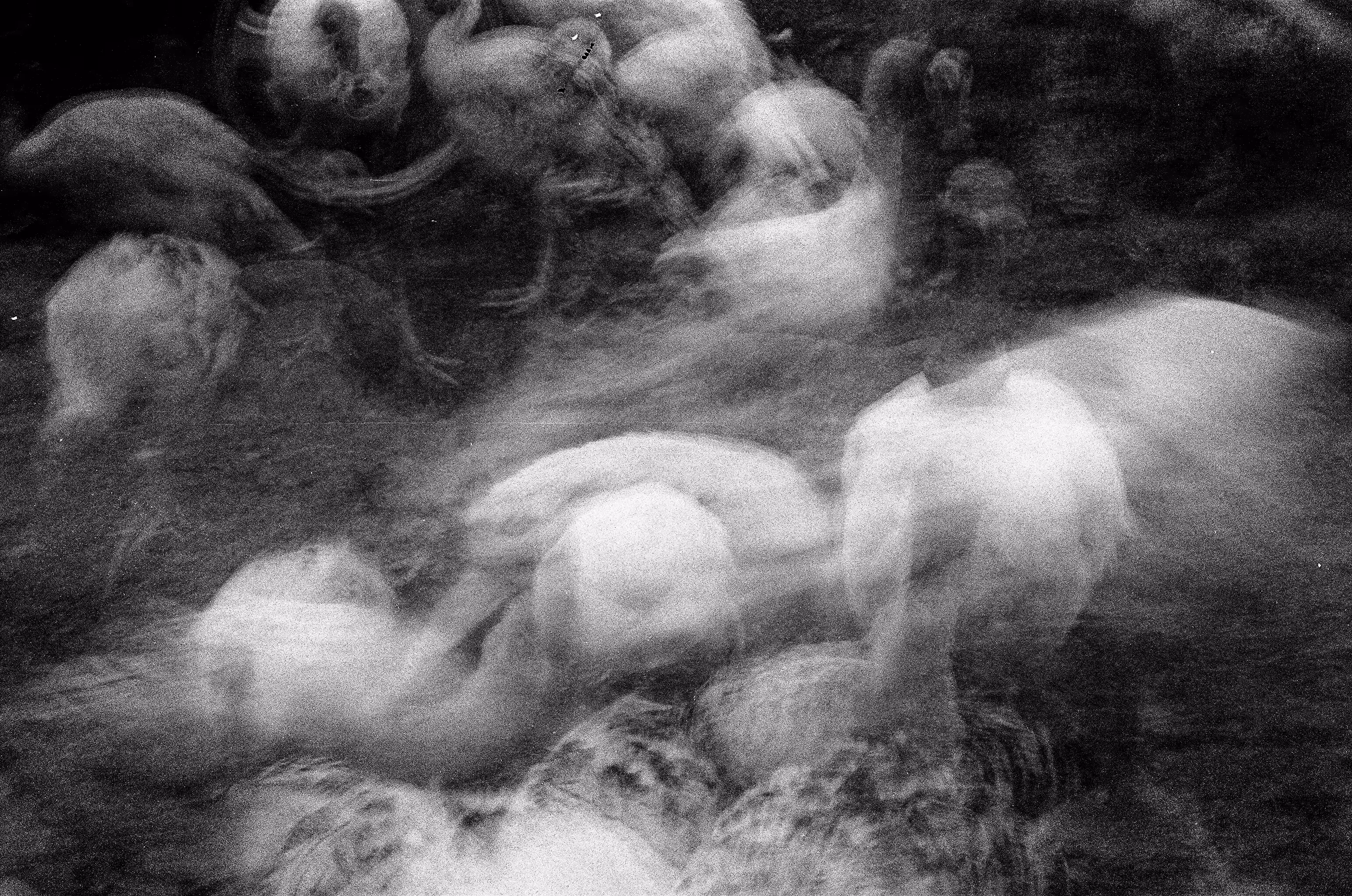untitled (remnant)