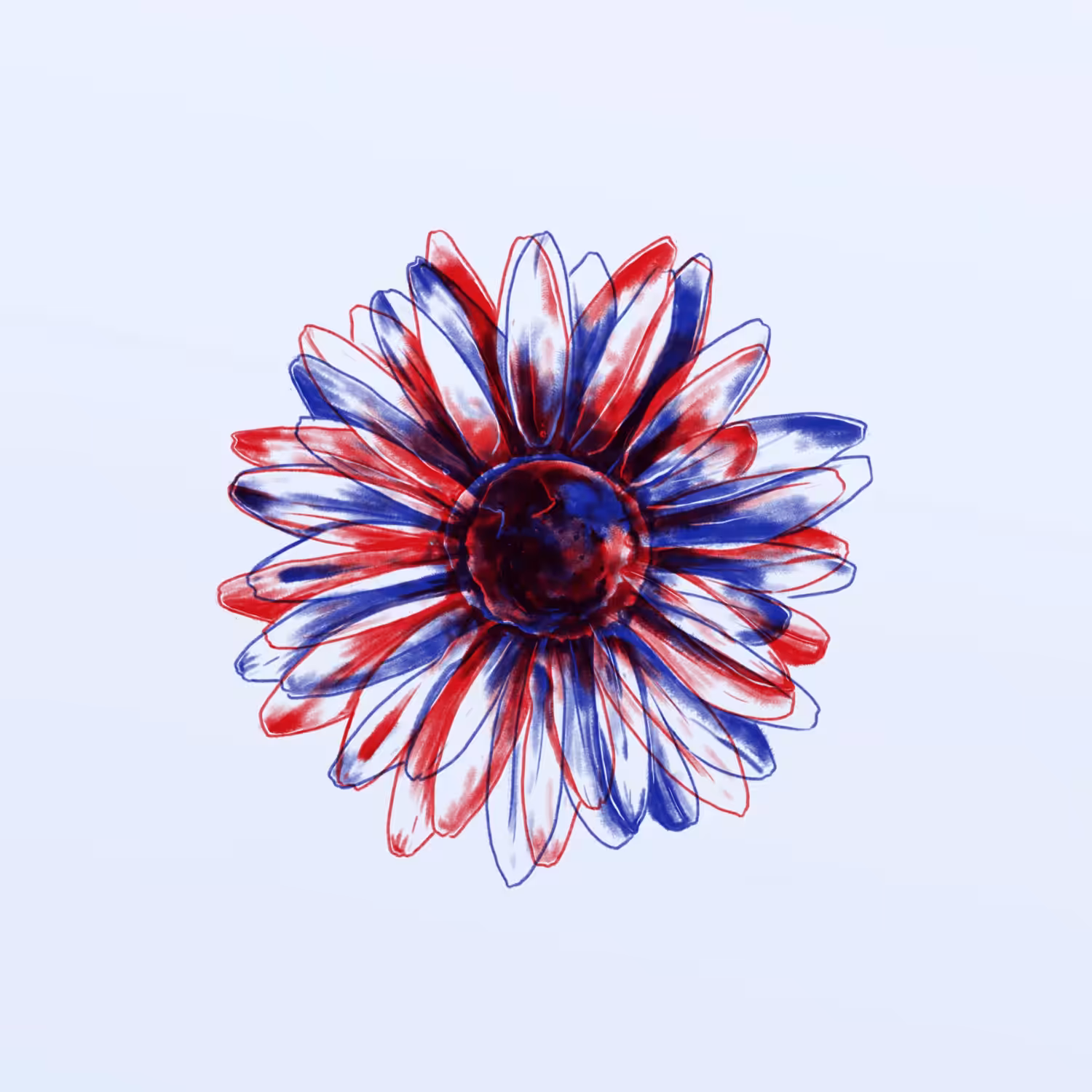Daisy #1
