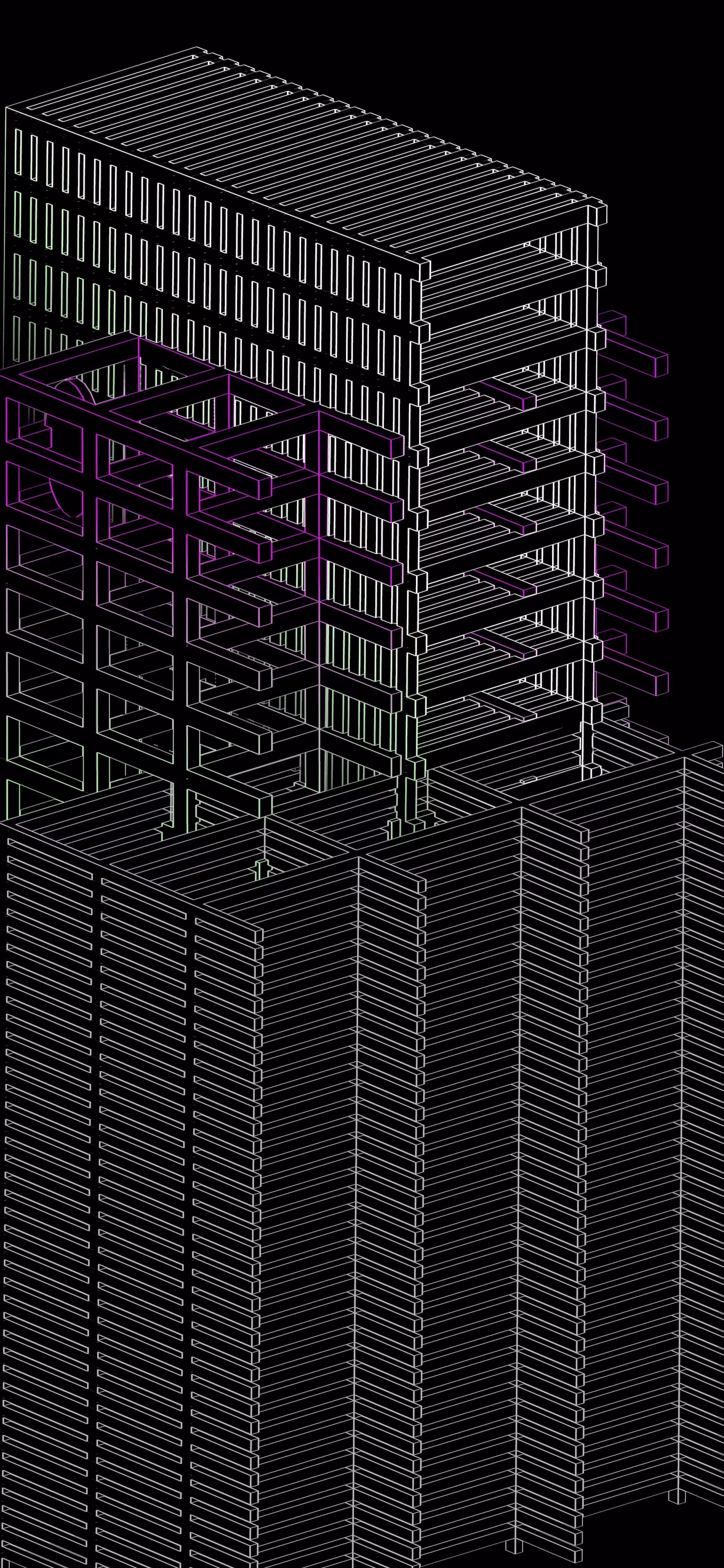 H E L I O T R O P E